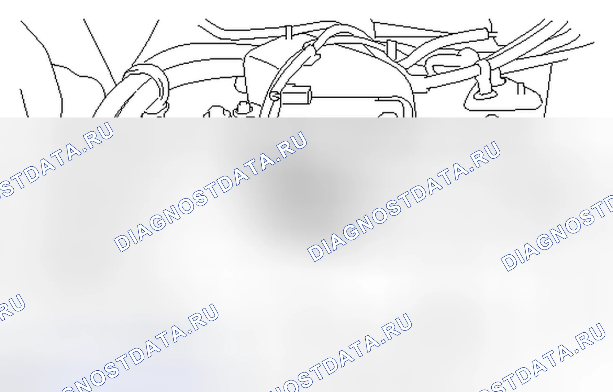 Рис. 294. Honda Accord V