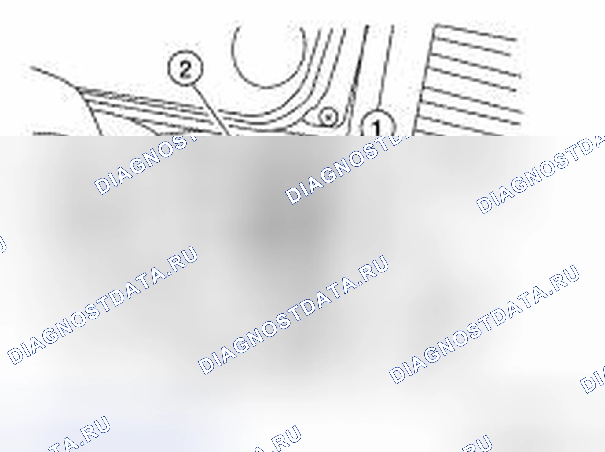Рис. 3: ДЕМОНТАЖ. Audi RS6 C8