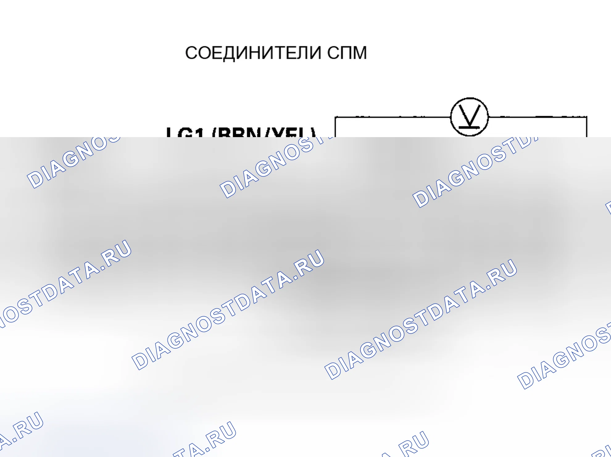 Рис. 556. Honda Element YH2