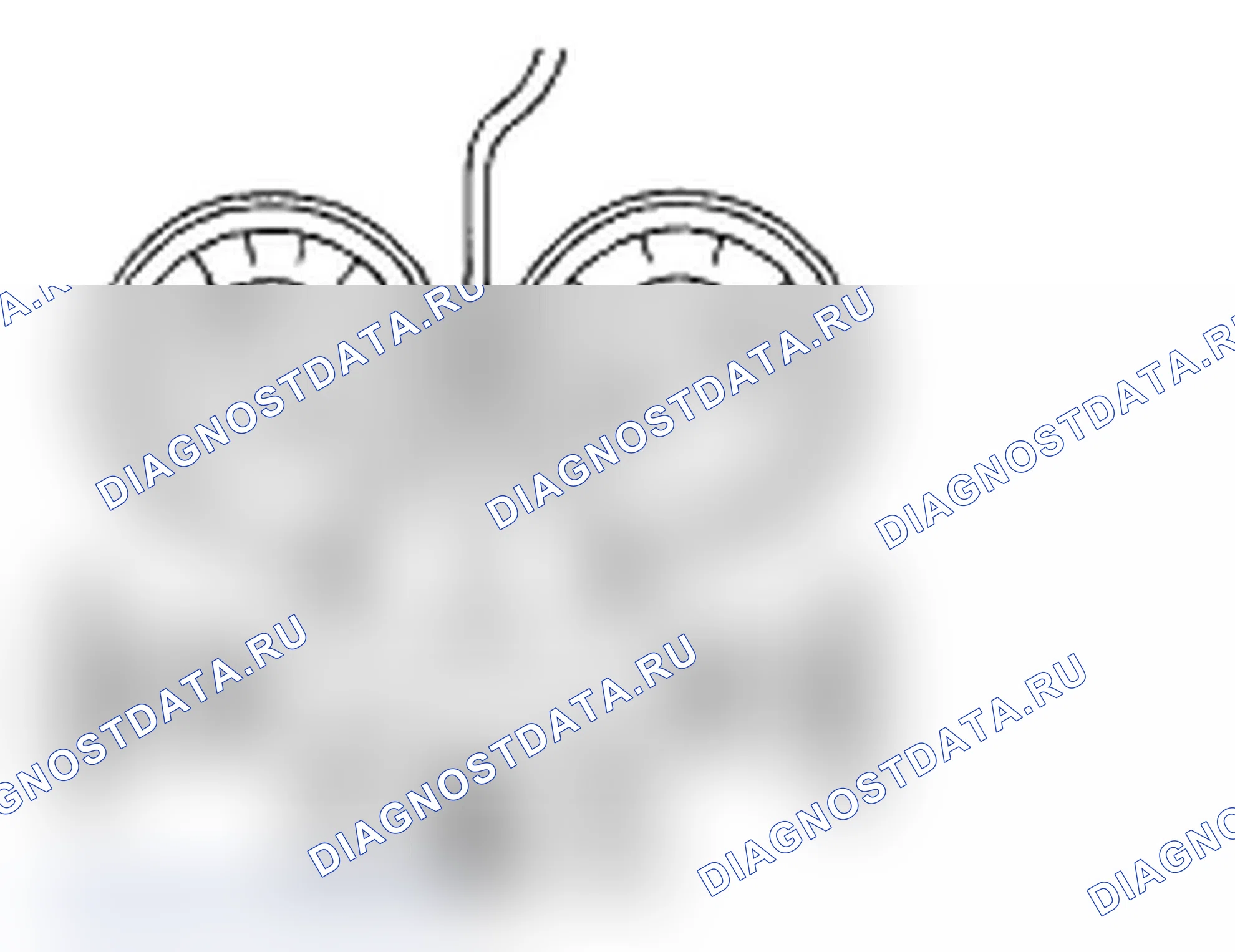 Рис. 68. Subaru Impreza WRX GD/GG рестайлинг 2