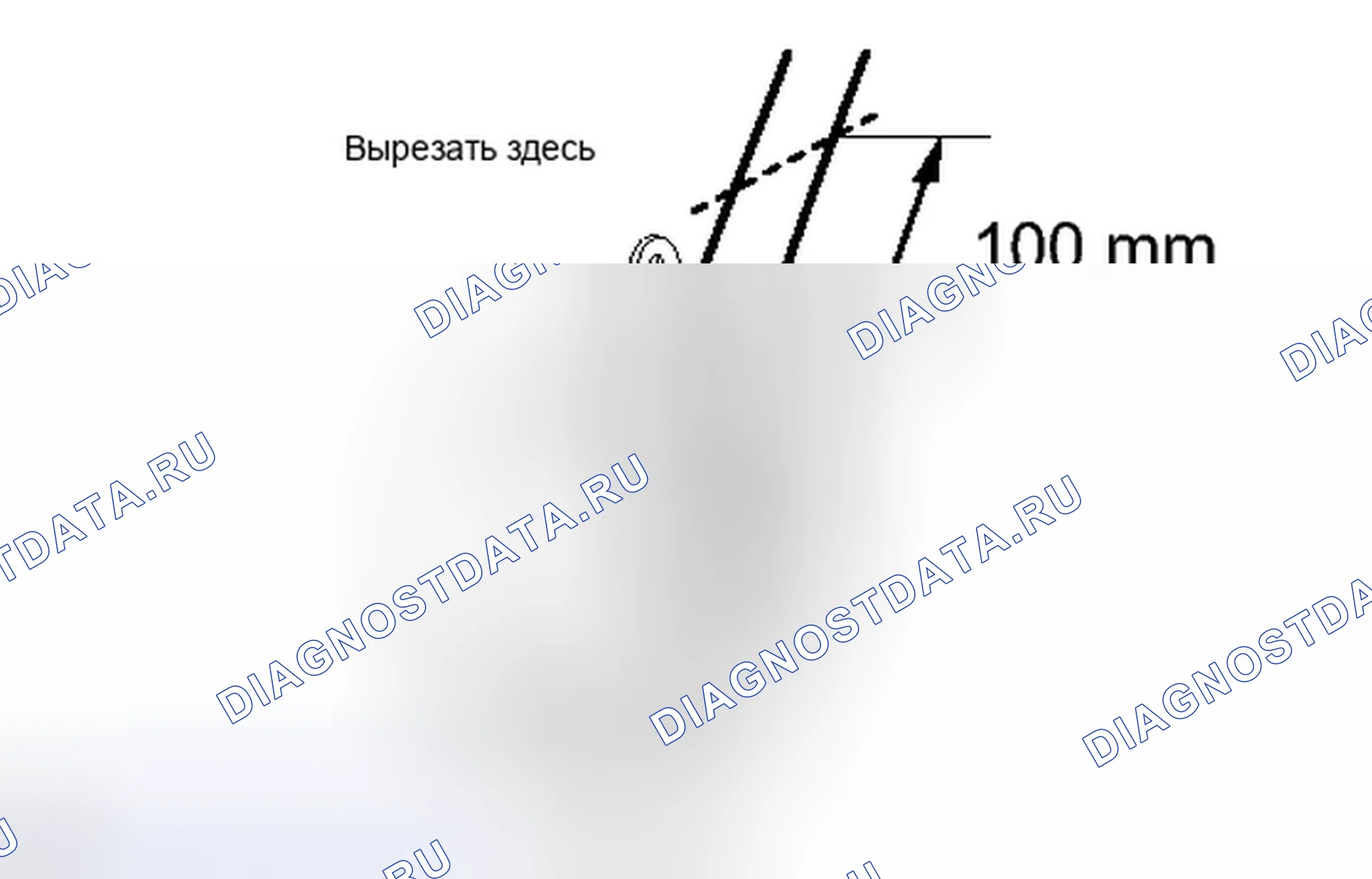 Рис. 84. Honda Accord IV
