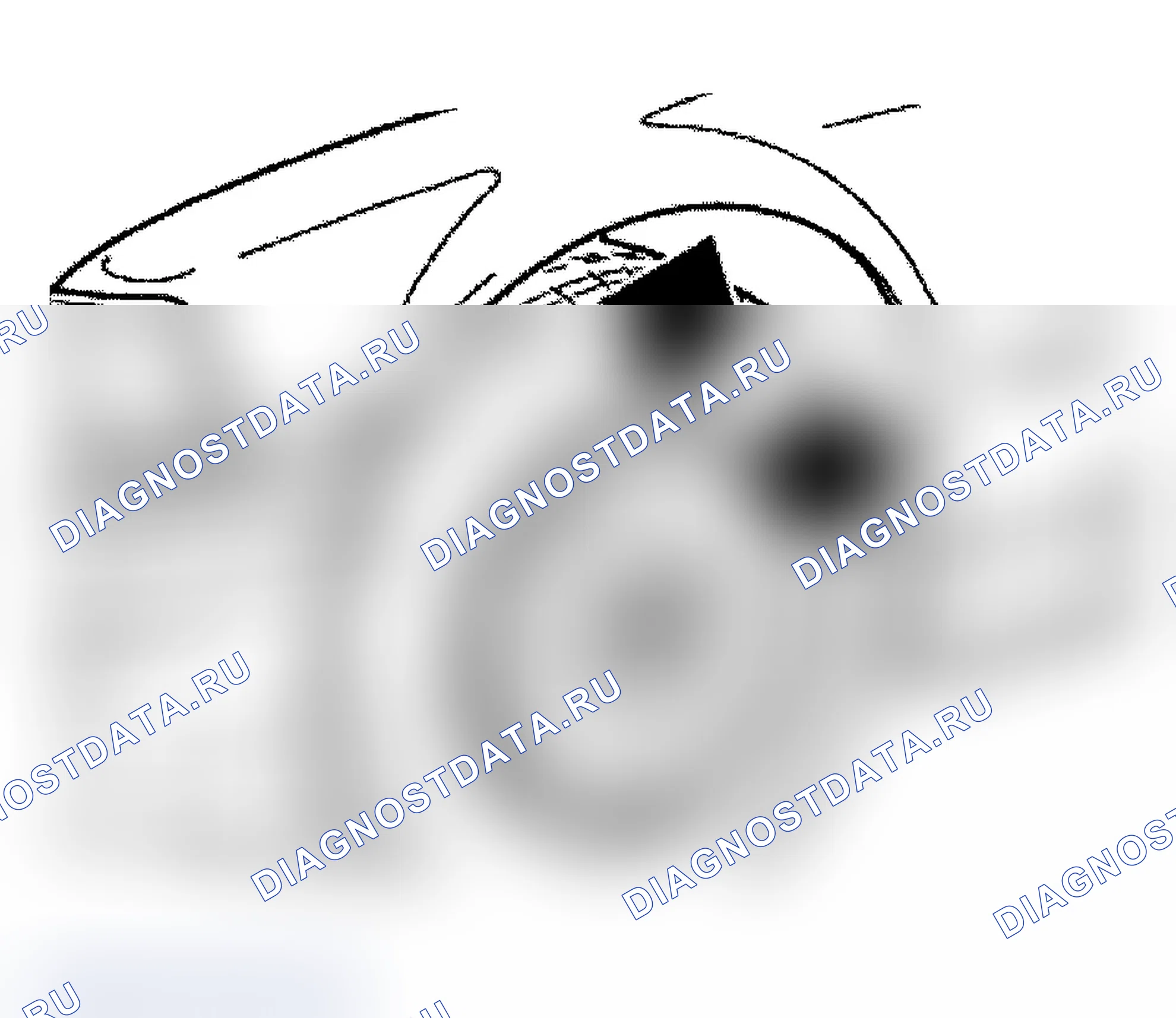 Рис. 15. BMW M3 E36