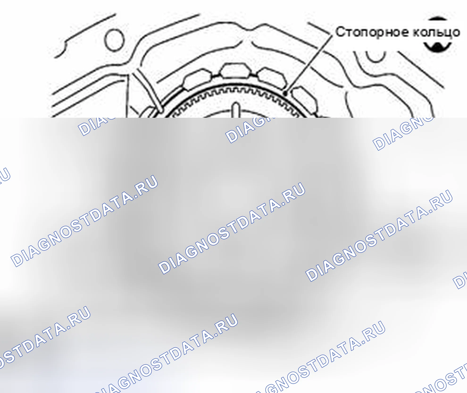 Рис. 199. Suzuki Equator I
