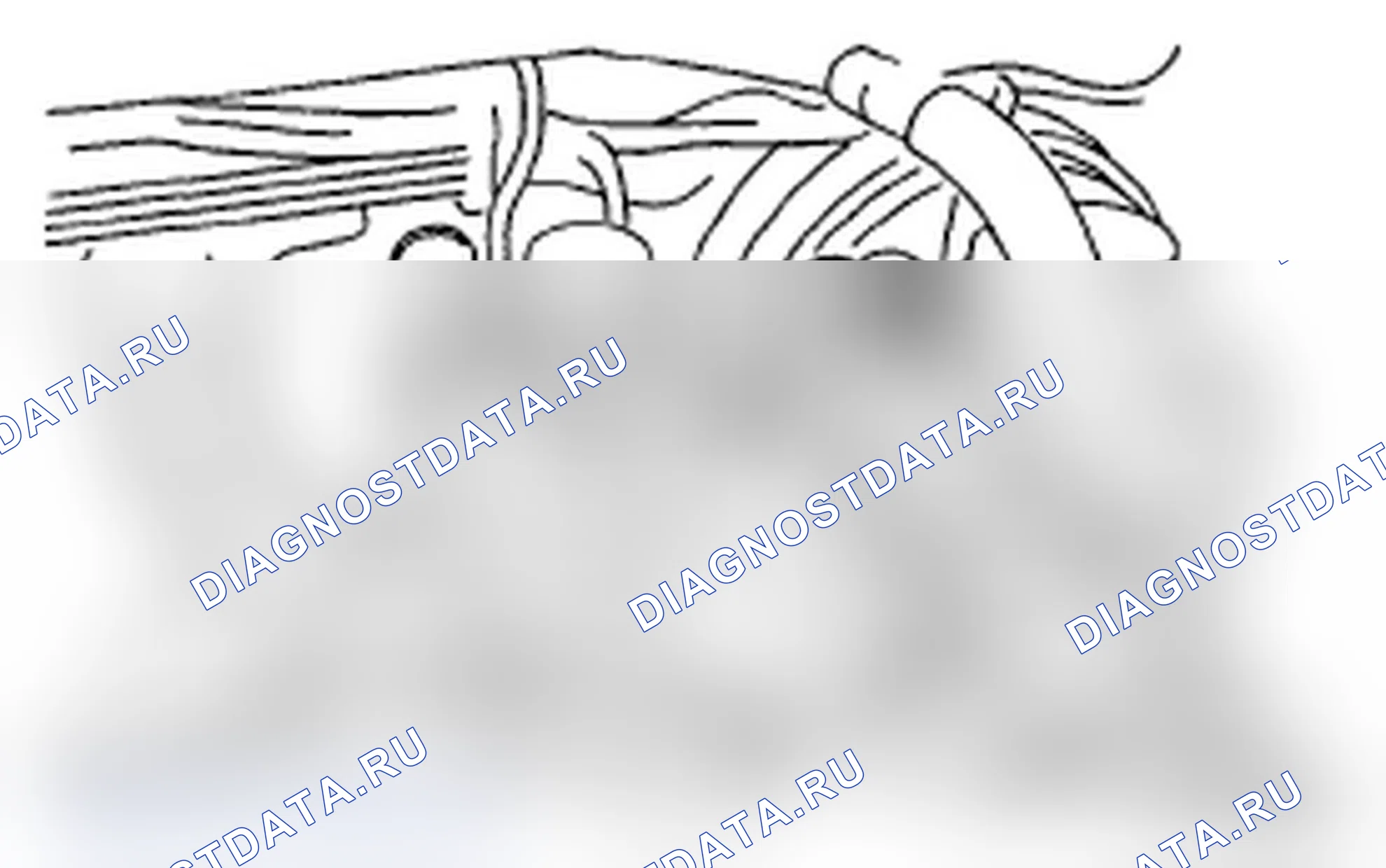 Рис. 67. Subaru Impreza WRX GH
