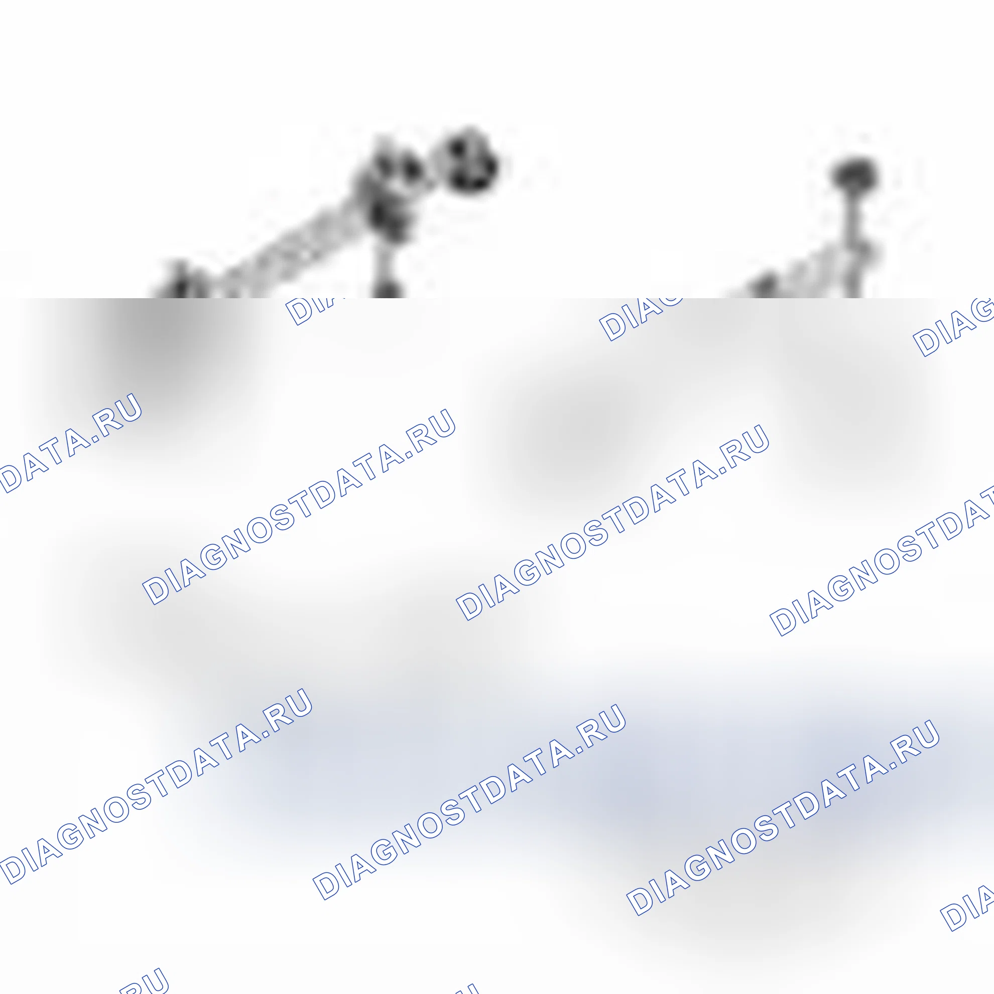 Рис. 217. Ford C-MAX II