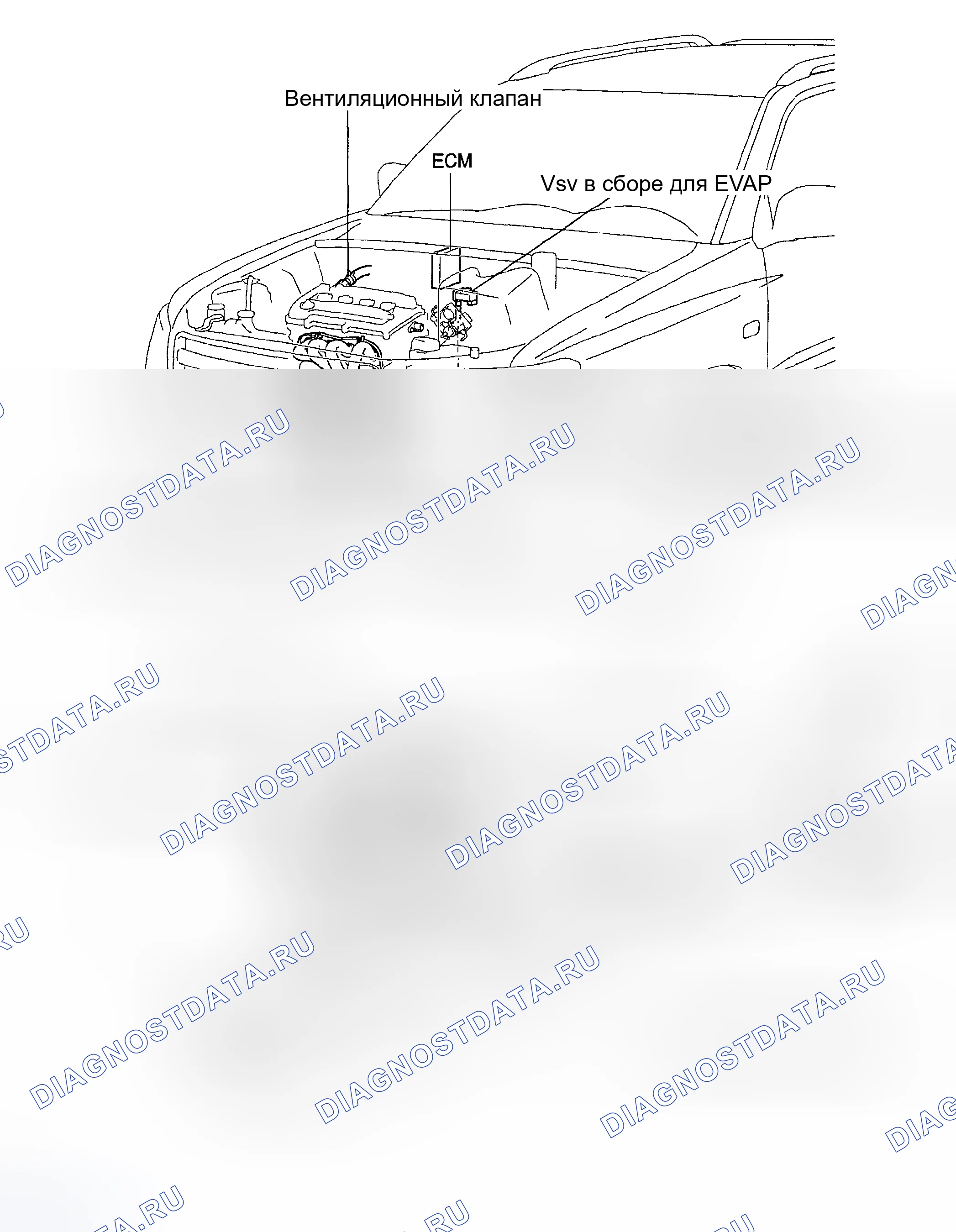Рис. 1: РАСПОЛОЖЕНИЕ. Toyota Highlander I рестайлинг
