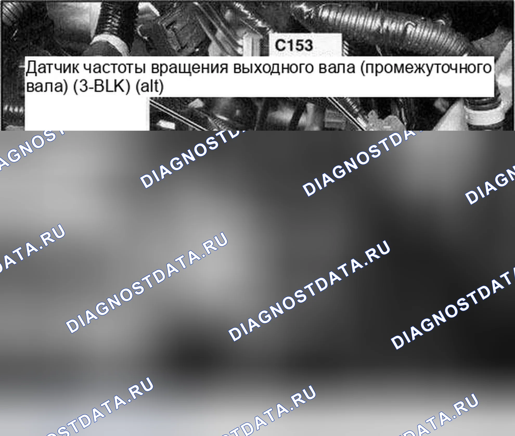 Рис. 255. Honda Accord VII рестайлинг