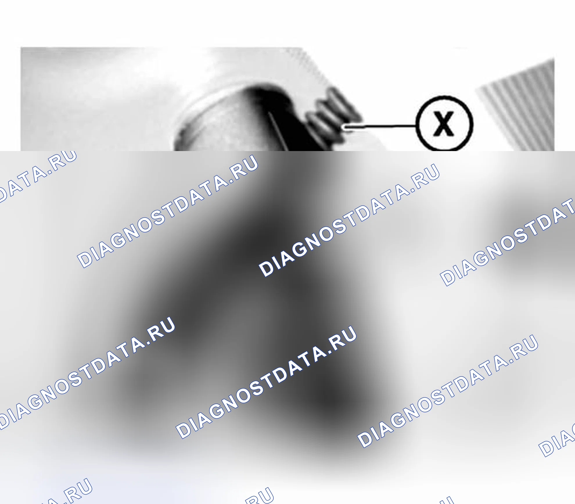 Рис. 2. BMW M5 E39