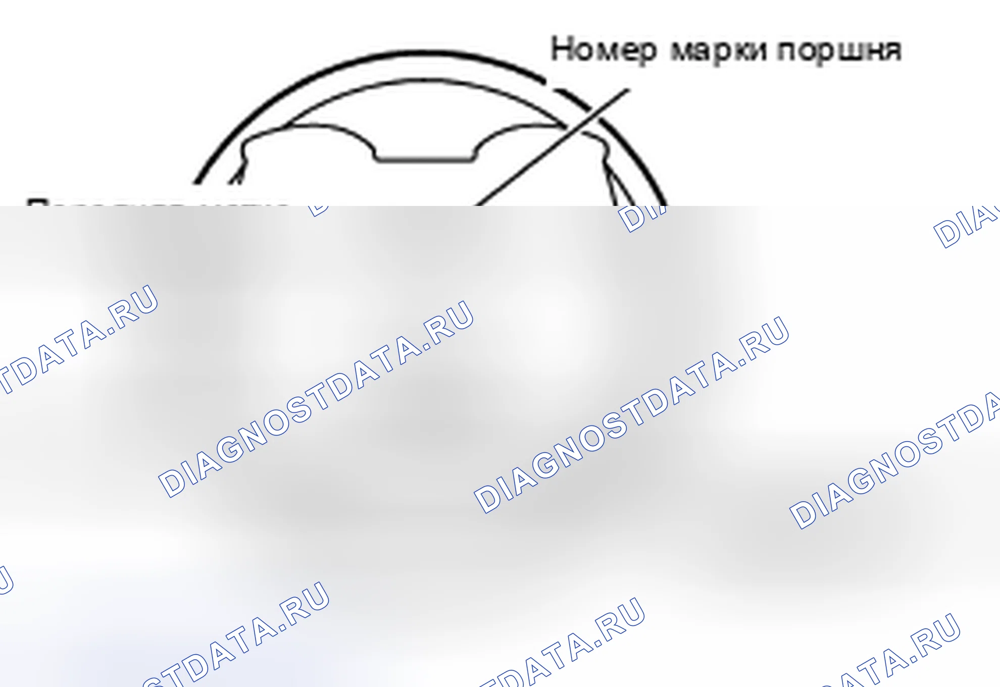 Рис. 6. Nissan X-Trail I