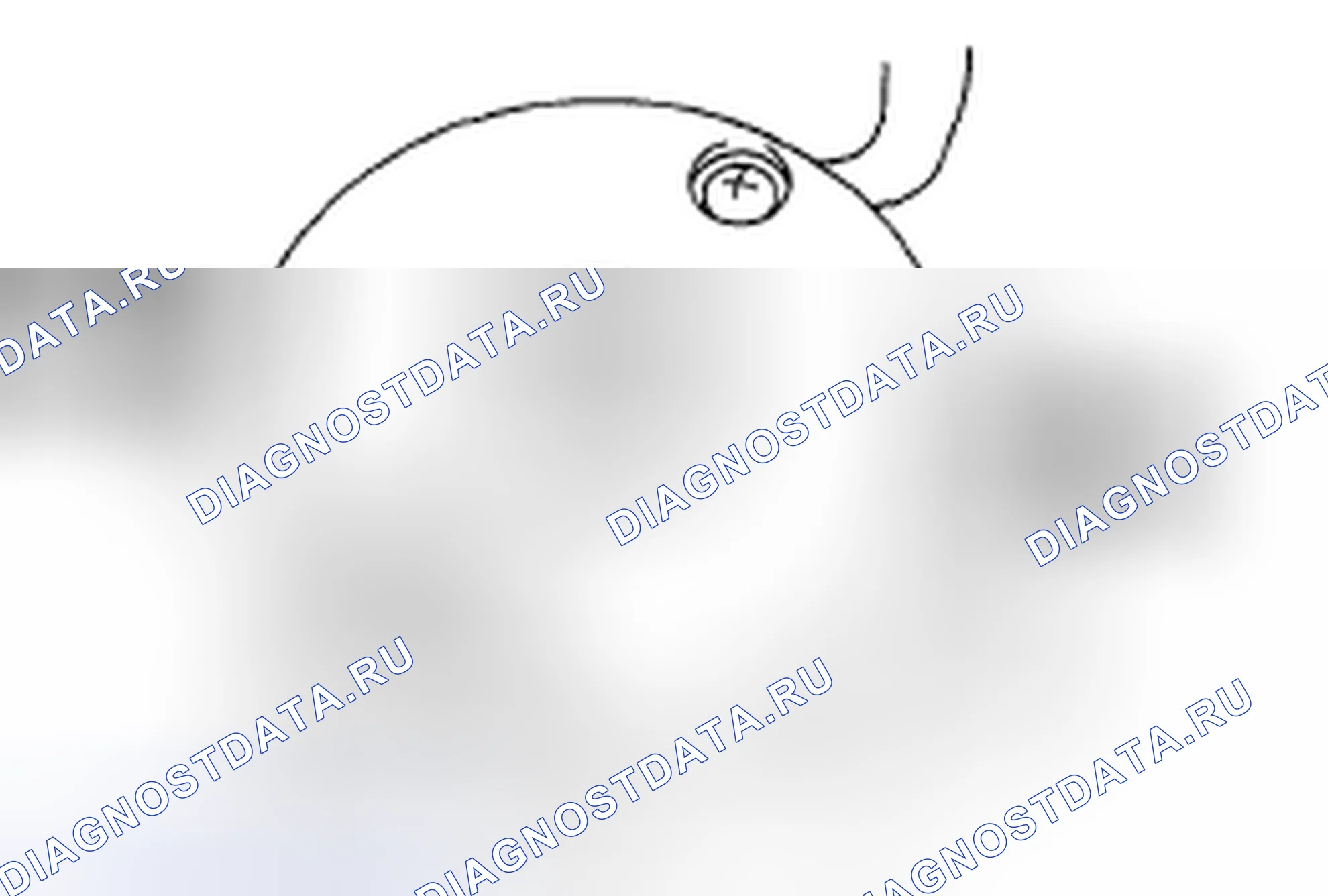 Рис. 16. Subaru Legacy BL/BP рестайлинг