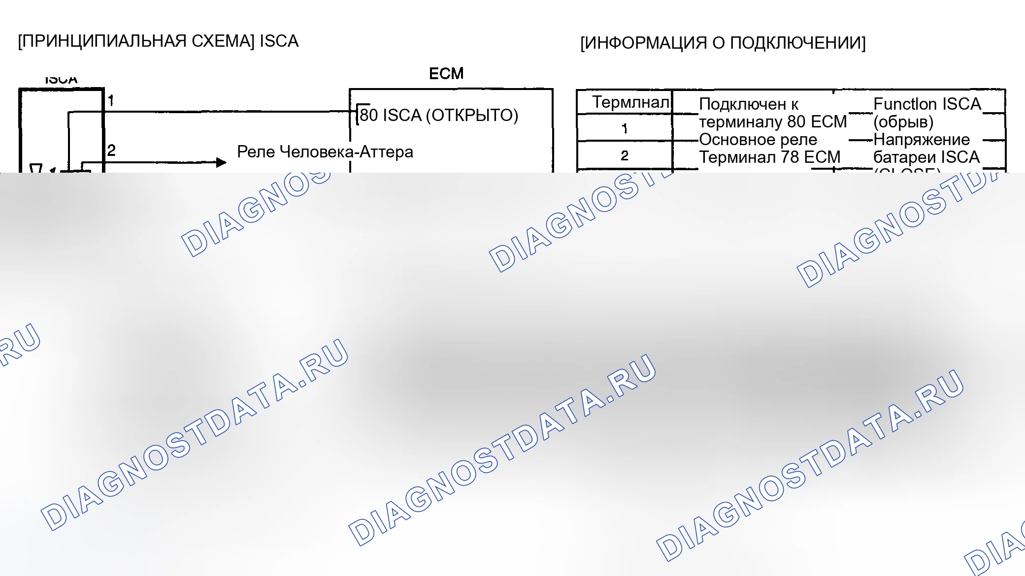 Рис. 261: ПРИНЦИПИАЛЬНАЯ СХЕМА. Haval Chitu I