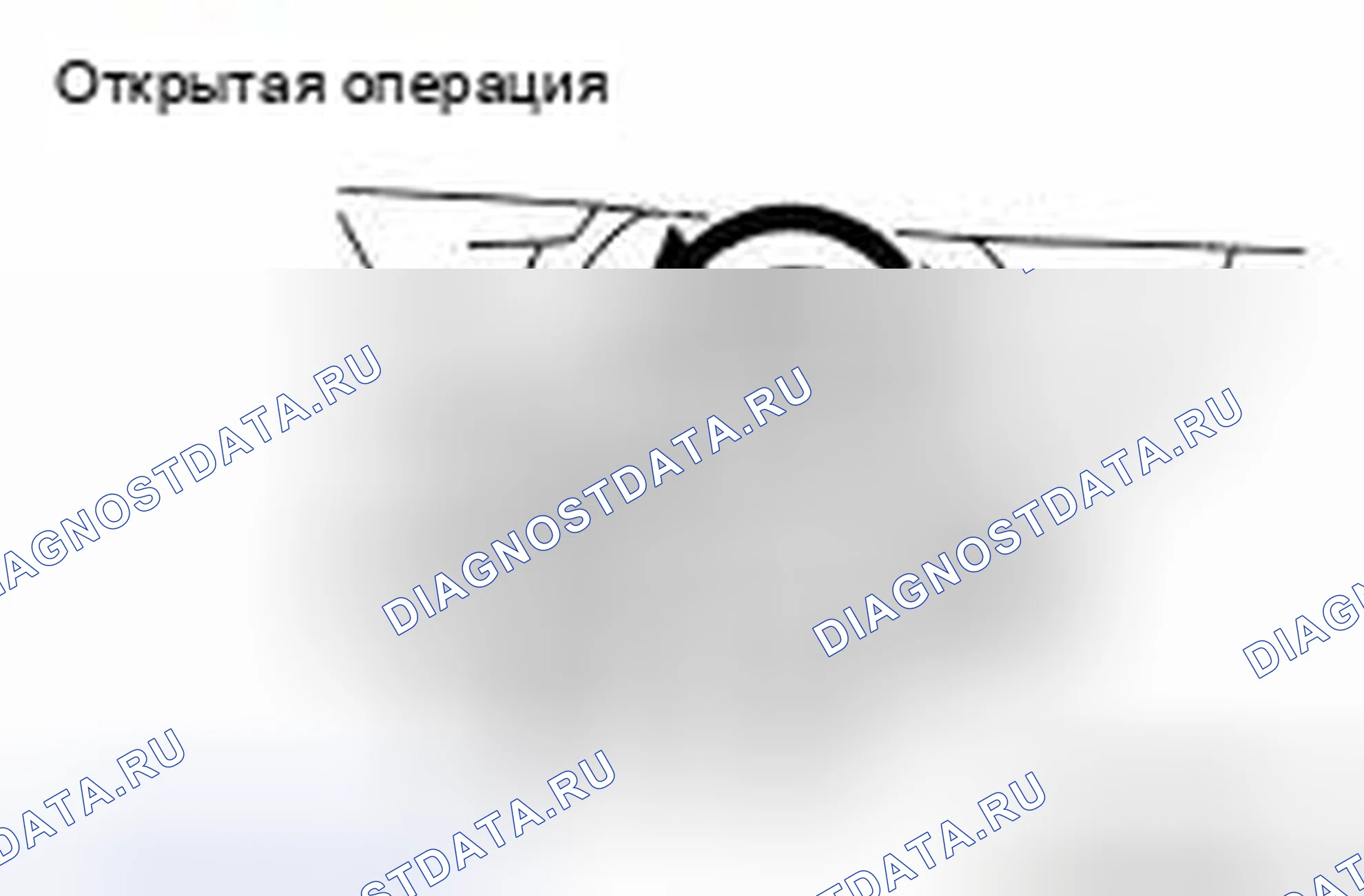 Рис. 427. Nissan Murano Z51 рестайлинг 2