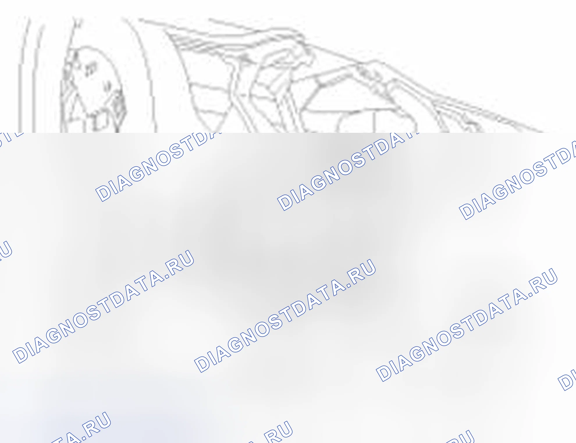 Рис. 41. Haval Beast (Shenshou) I