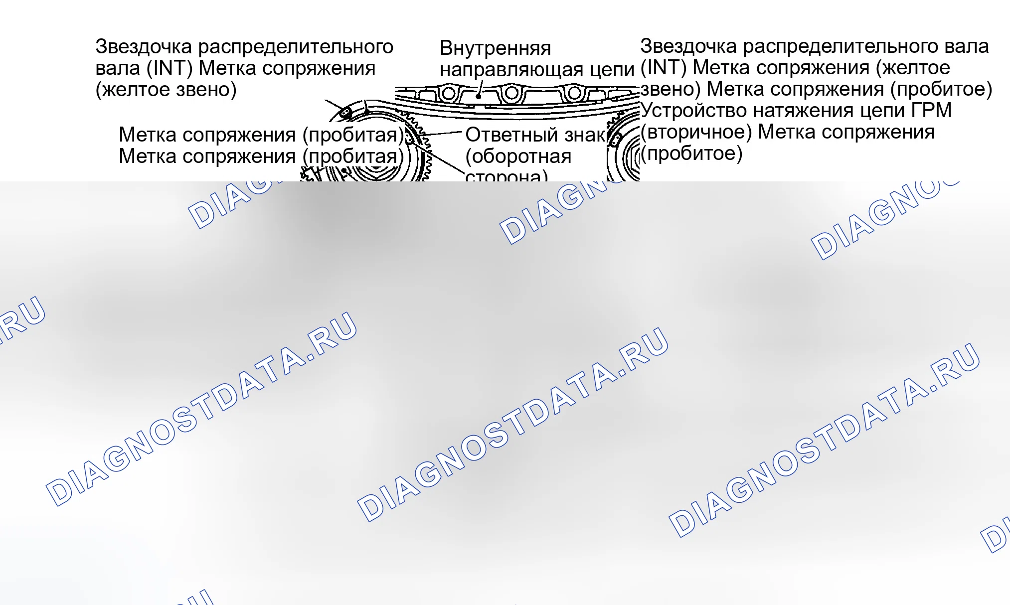 Рис. 942: УСТАНОВКА. Infiniti G35 III