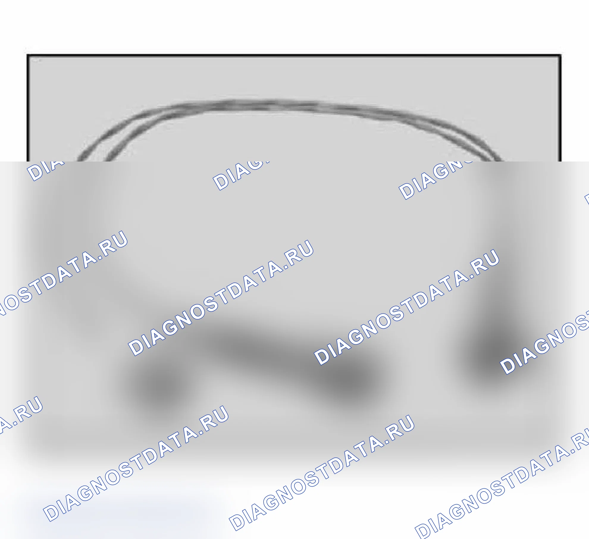 Рис. 21: 61 4 370 Вывод V-адаптера (2-контактный), с нулевым кодом. BMW M3 E46
