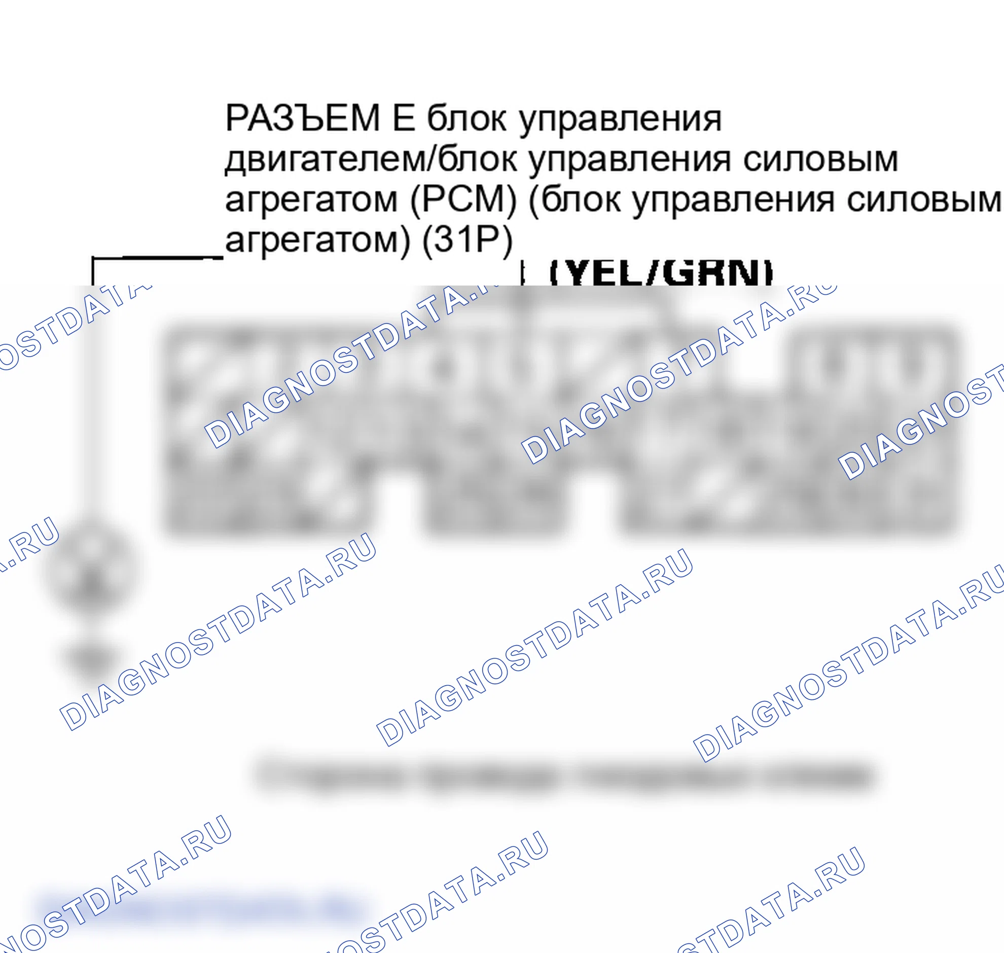 Рис. 37. Honda Element YH2