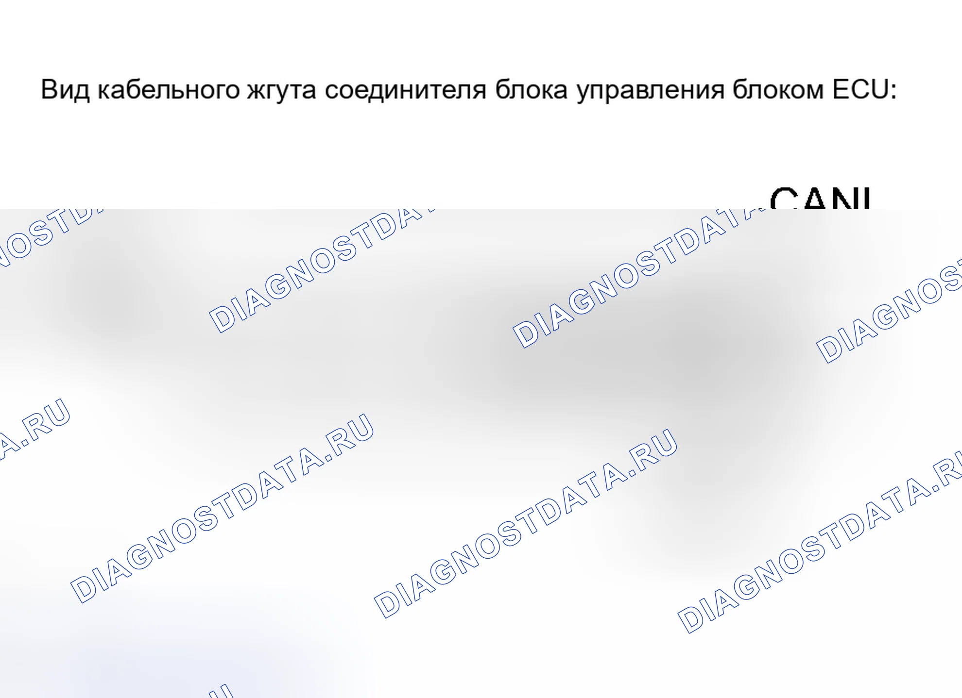 Рис. 9: ПРОЦЕДУРА КОНТРОЛЯ. Toyota Avalon XX30
