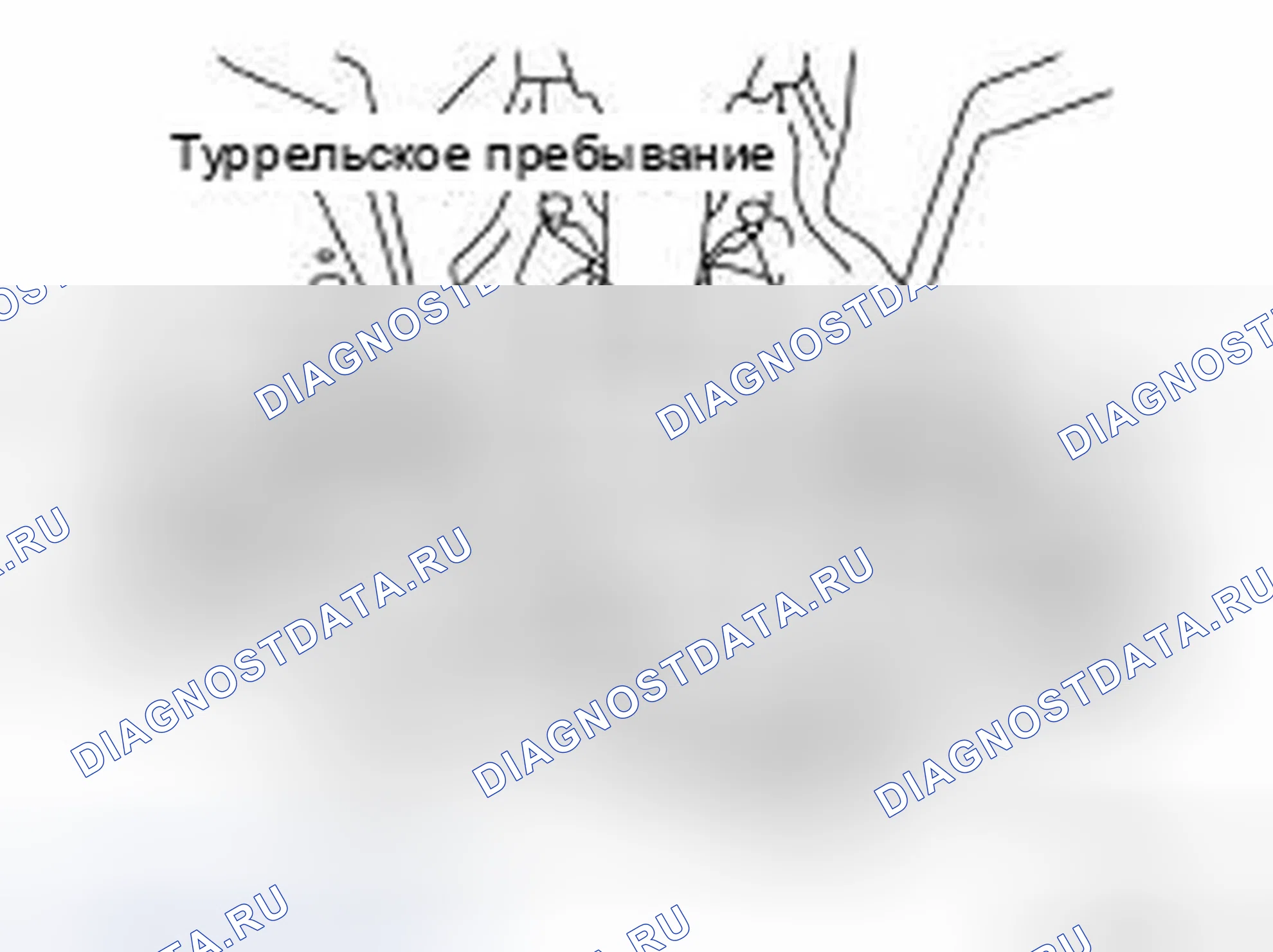 Рис. 11: ДЕМОНТАЖ. Infiniti FX35 I рестайлинг