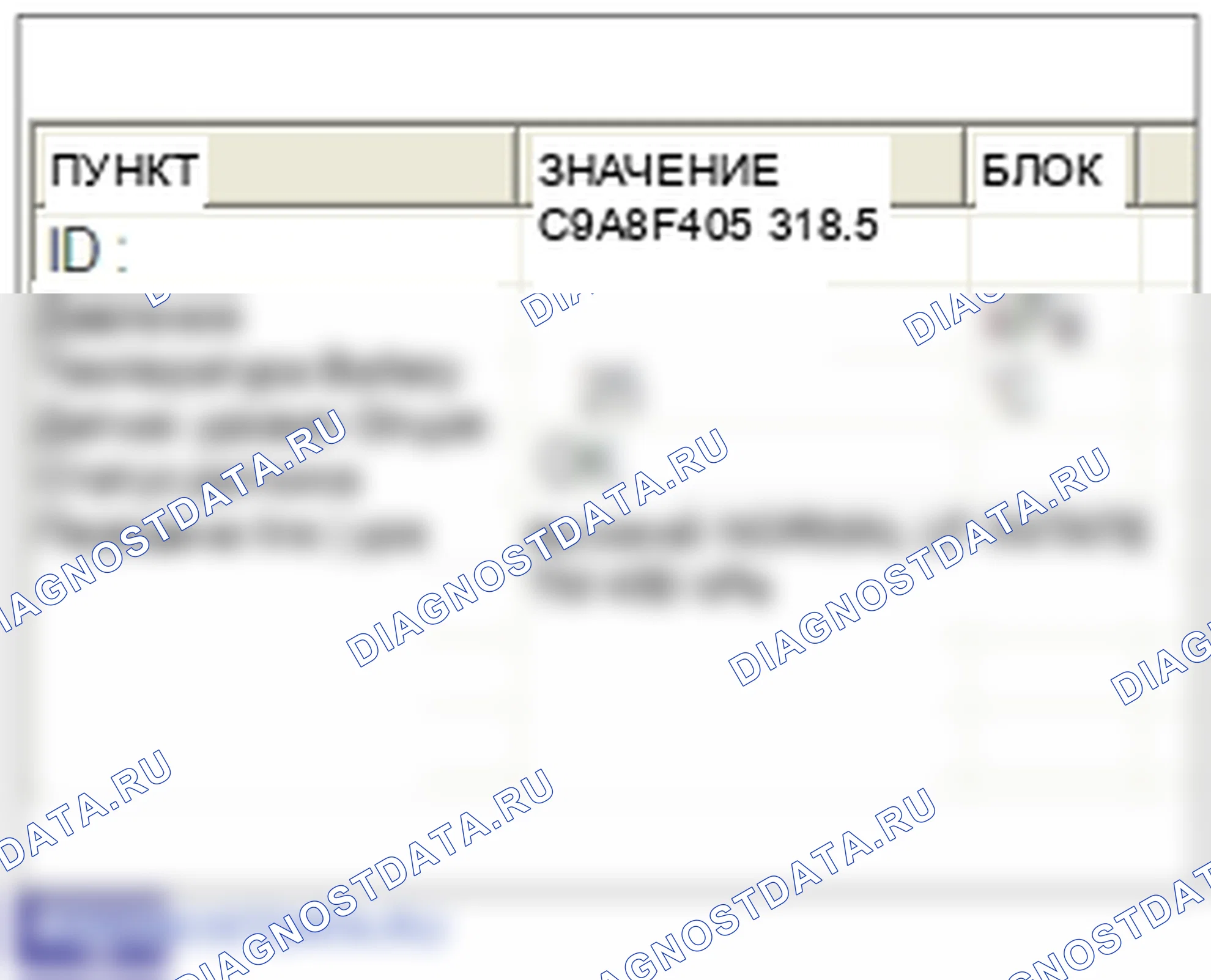 C1313: Отказ радиочастотного канала переднего правого датчика. Hyundai Santa Fe CM