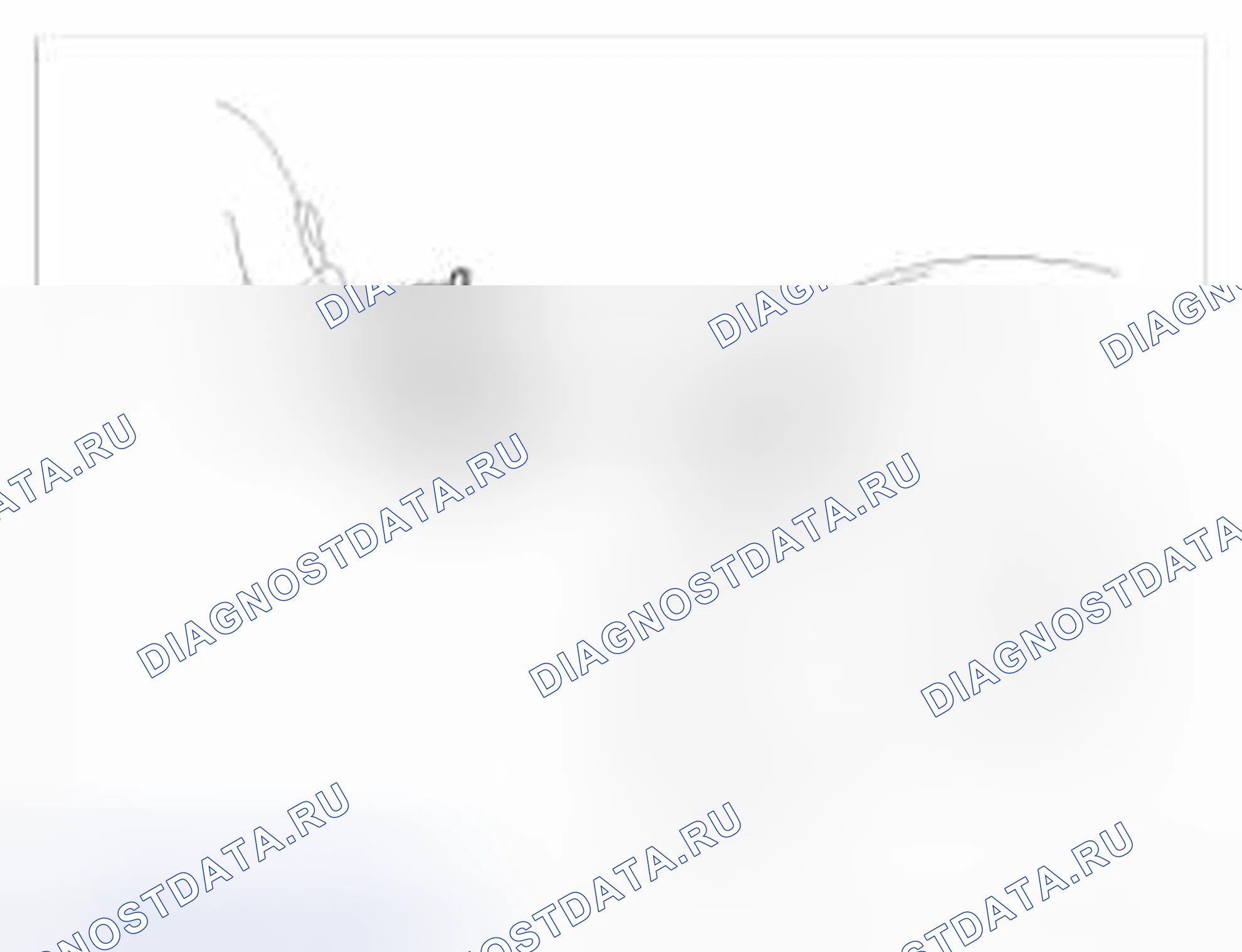 Рис. 55. BMW 6 серия F06/F13/F12