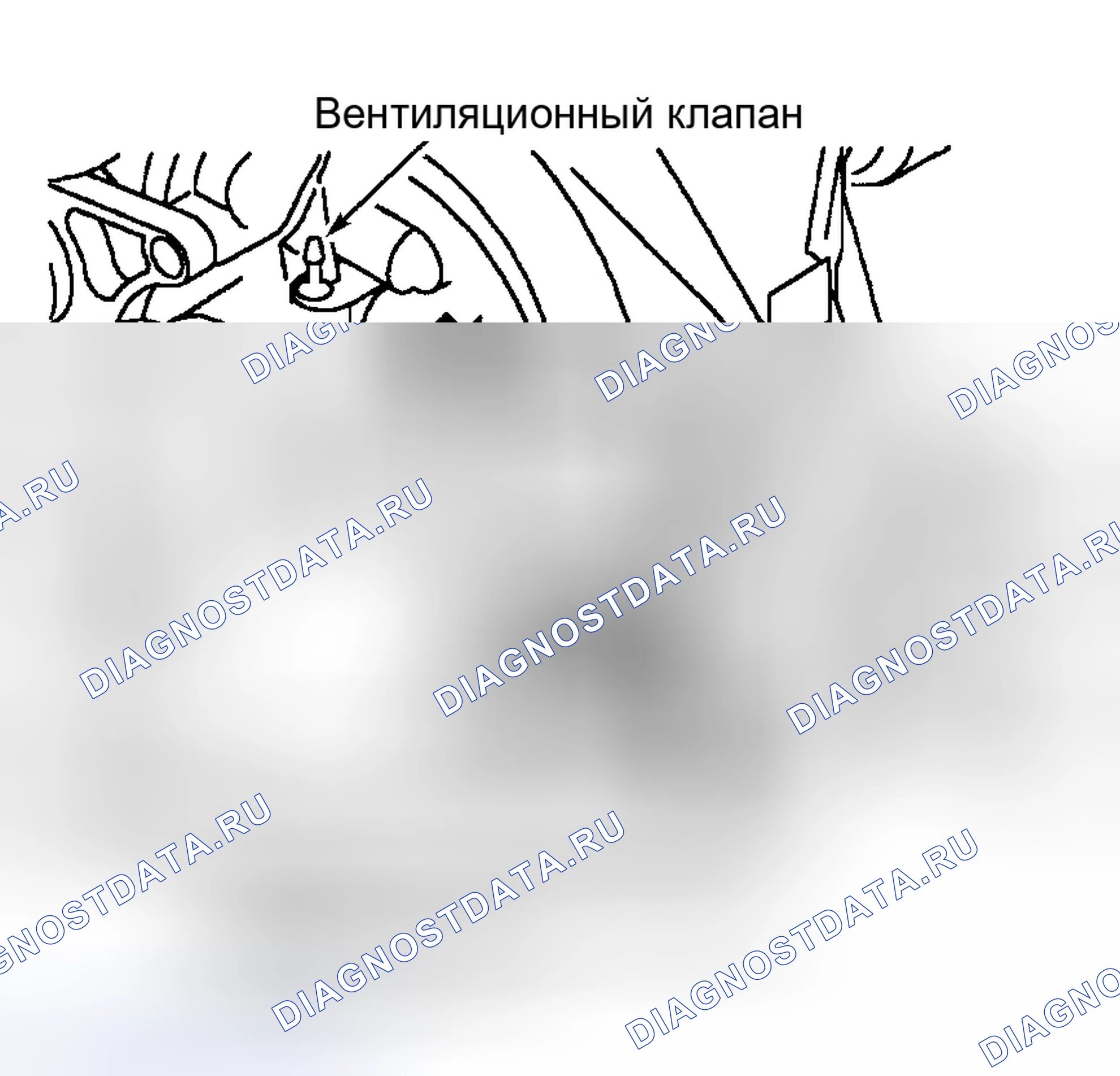 Рис. 43. Land Rover Freelander L314