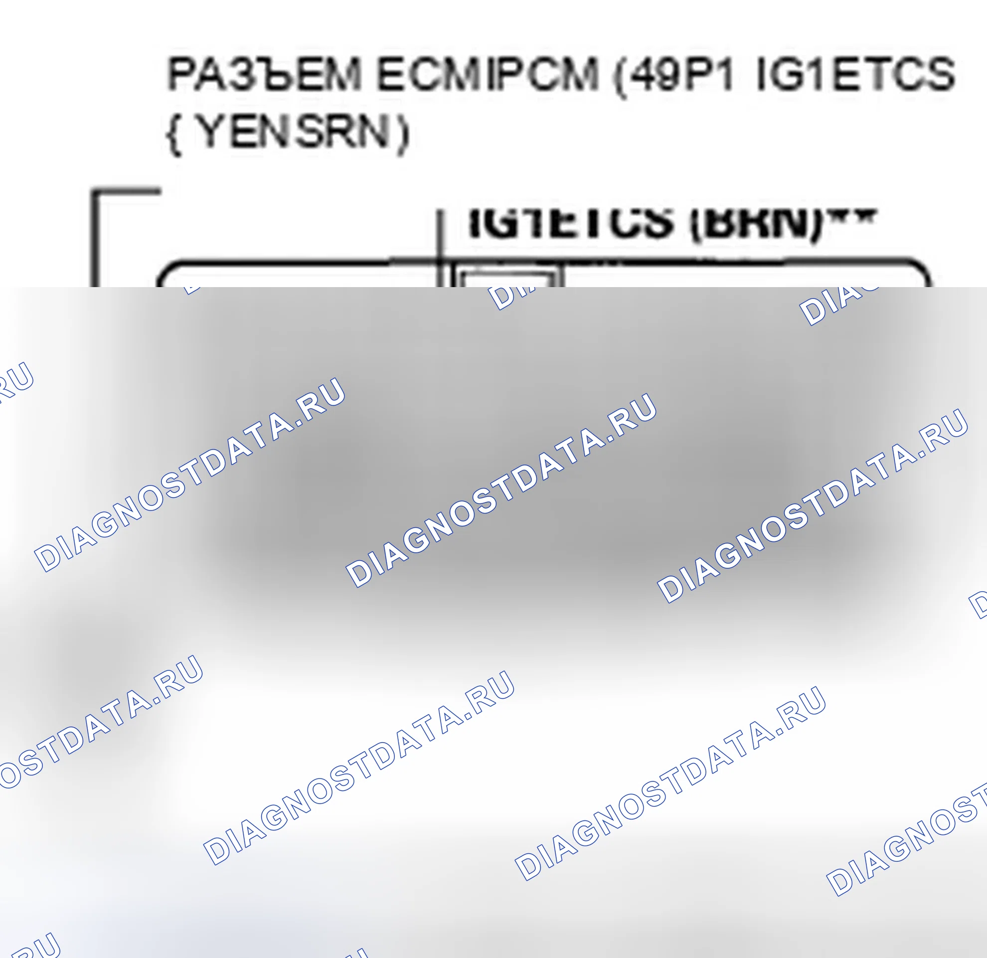 Рис. 549. Honda Accord VIII рестайлинг