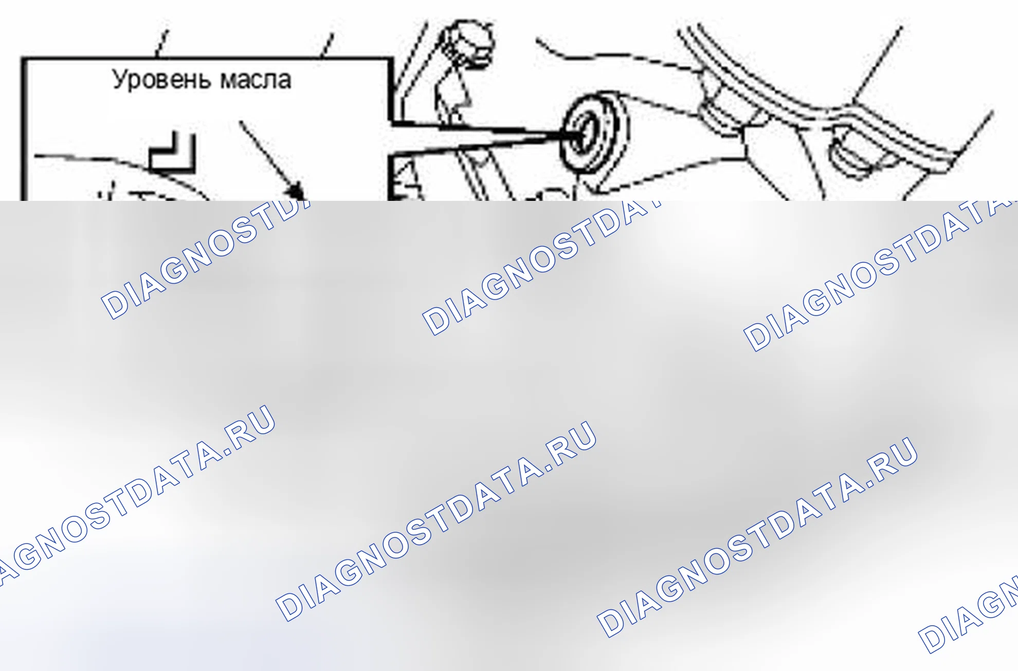 Рис. 39: УТЕЧКА И УРОВЕНЬ МАСЛА В ДИФФЕРЕНЦИАЛЕ. Suzuki Equator I