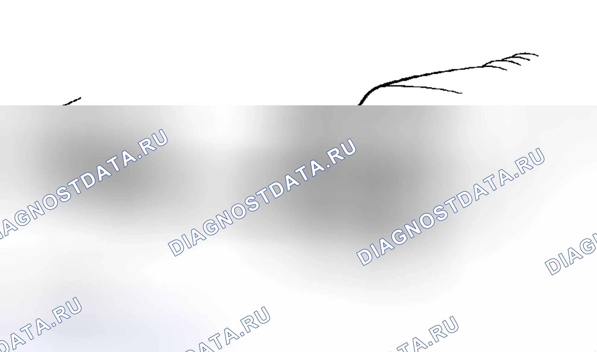 Рис. 41. Toyota RAV4 II рестайлинг
