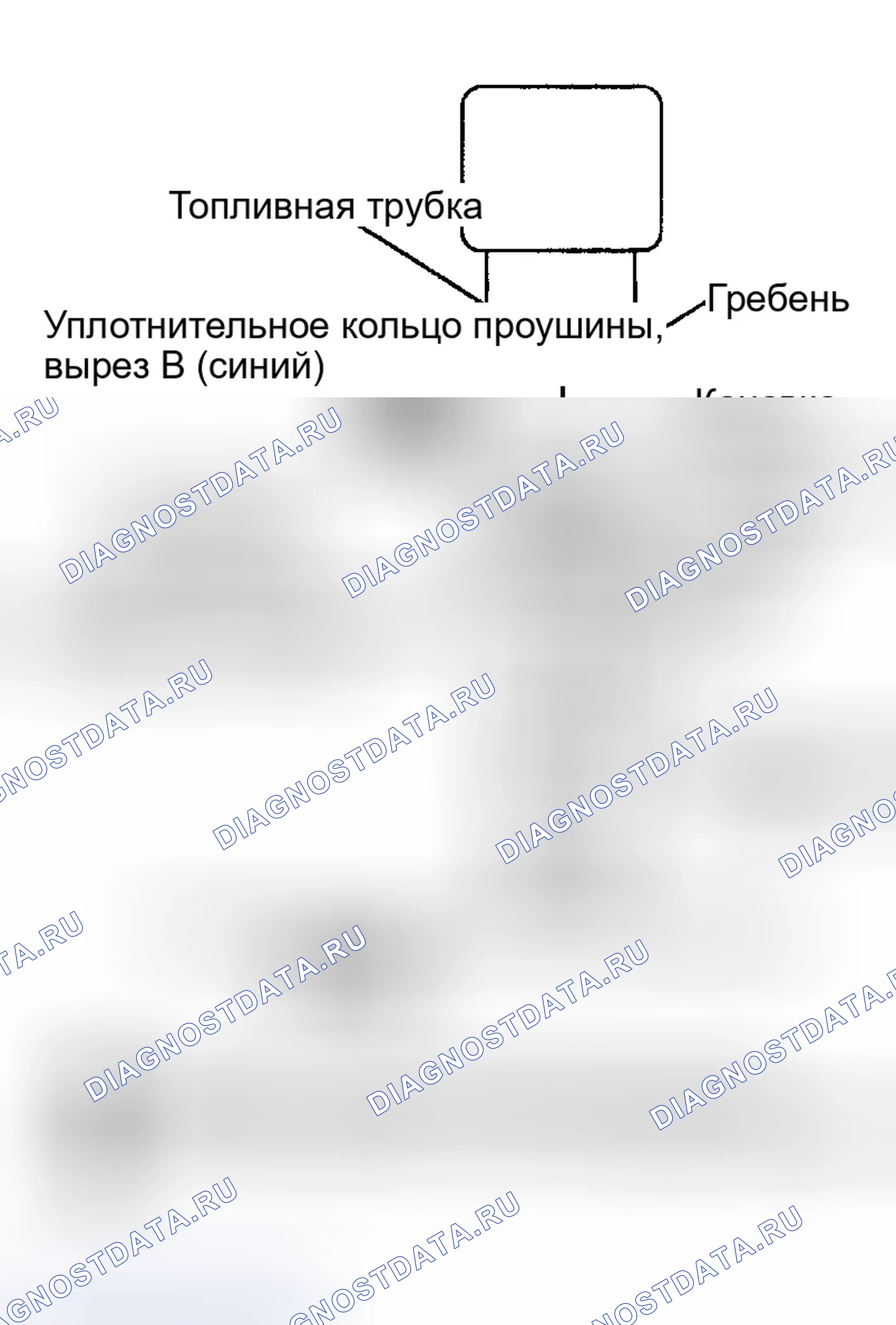 Рис. 214: Установка. Infiniti G35 III