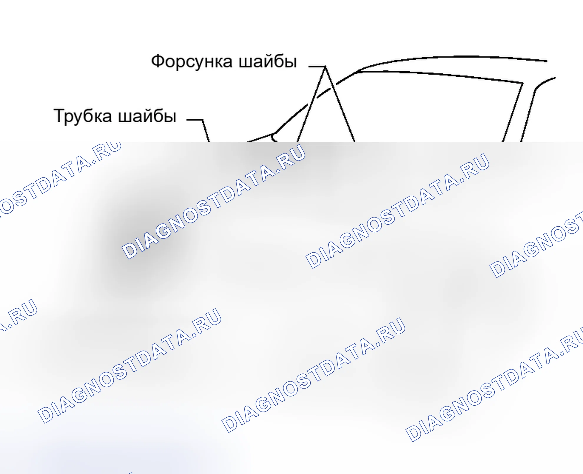 Рис. 5: Схема расположения трубок омывателя. Honda Street I