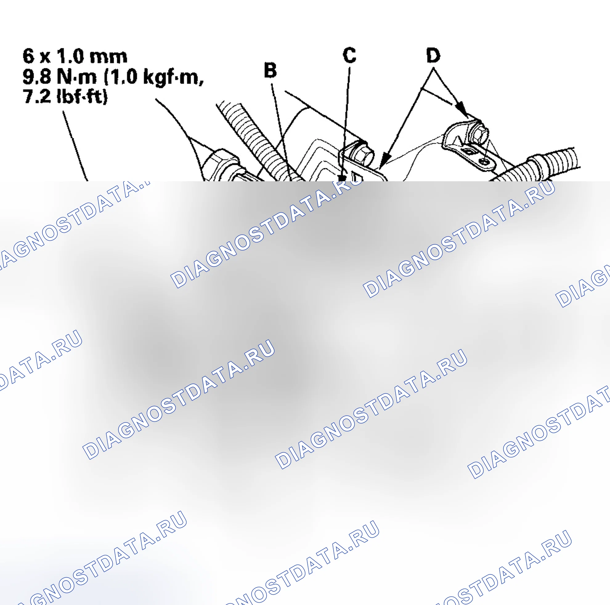Рис. 211. Honda Element YH2