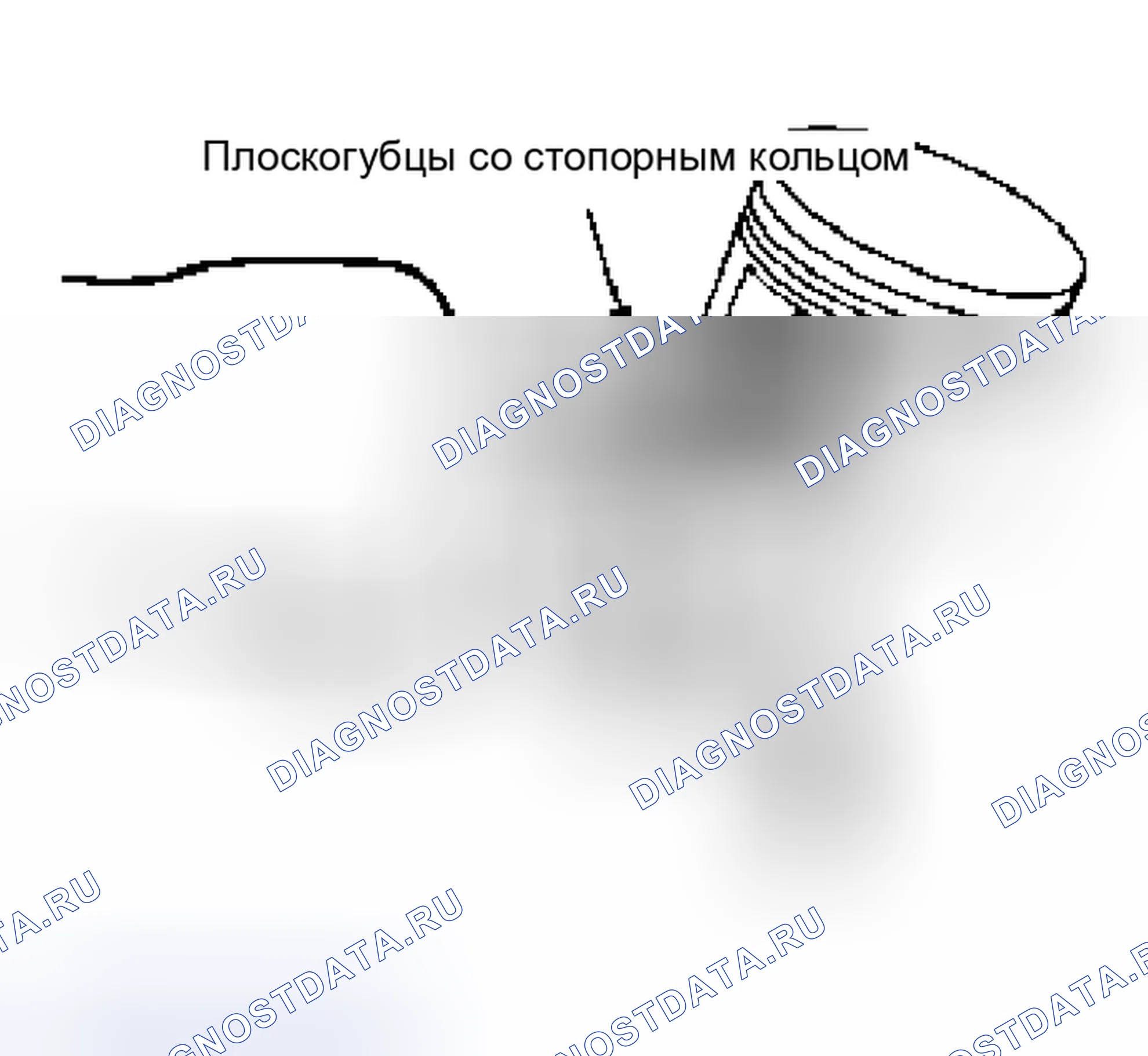 Рис. 87. Nissan Murano Z50