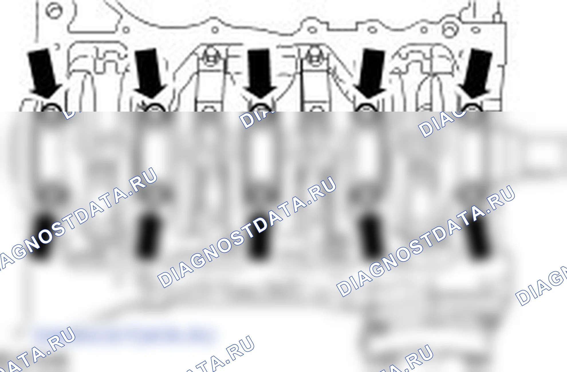 Разборка двигателя. Ford C-MAX I рестайлинг