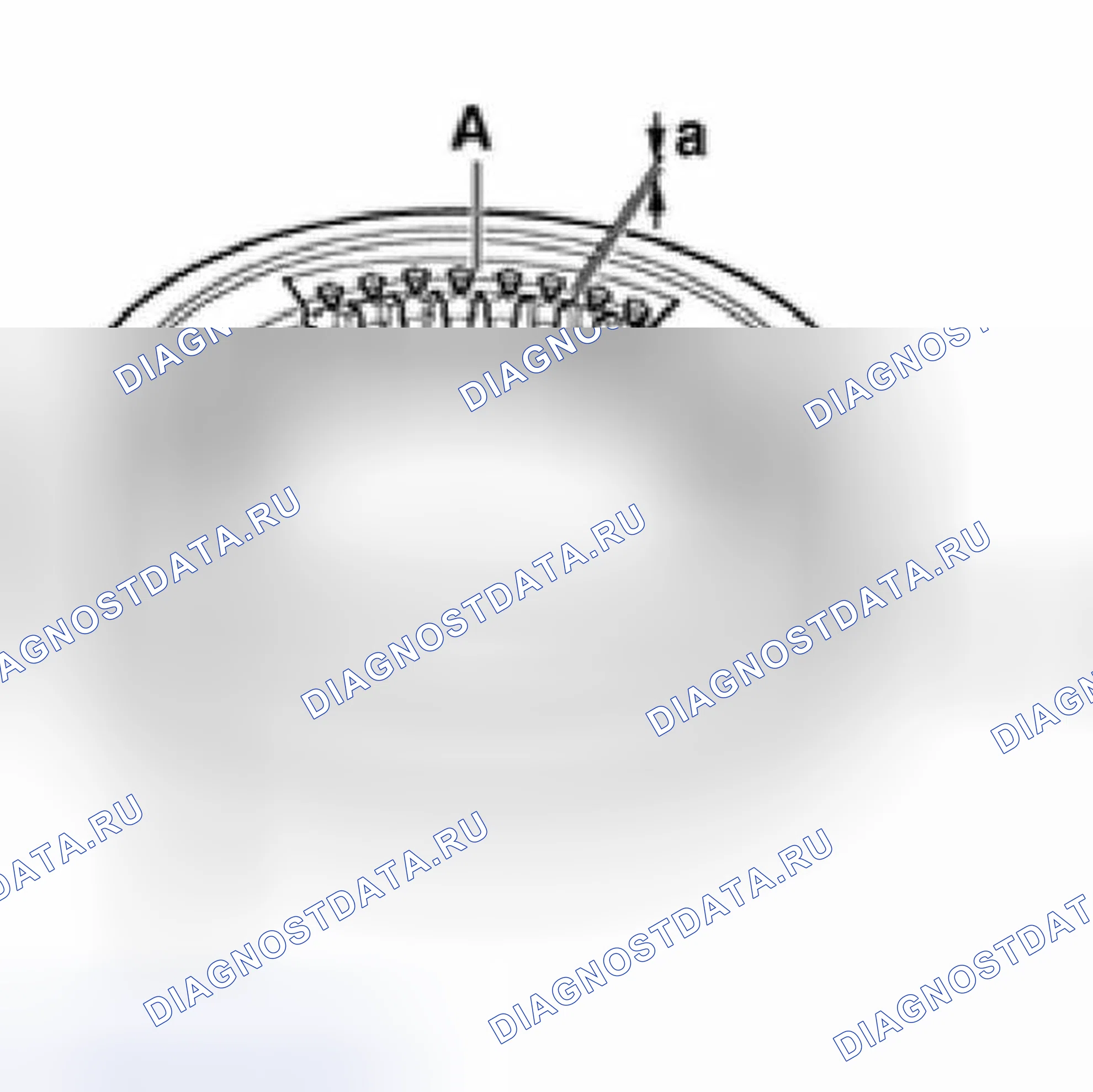 Рис. 141. Audi A6 C5 рестайлинг