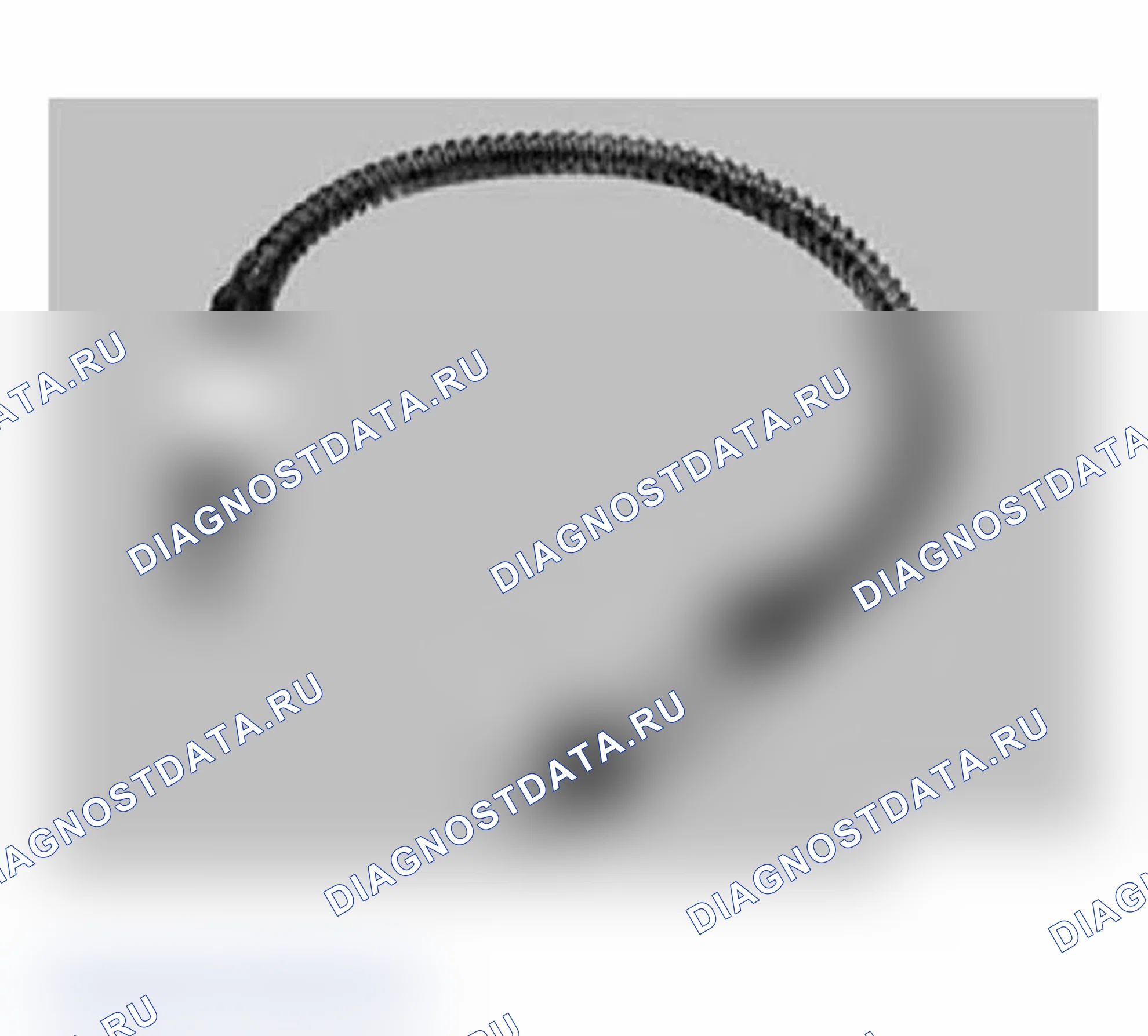 Рис. 293: E65/E66 CIP-программирование. BMW X3 E83