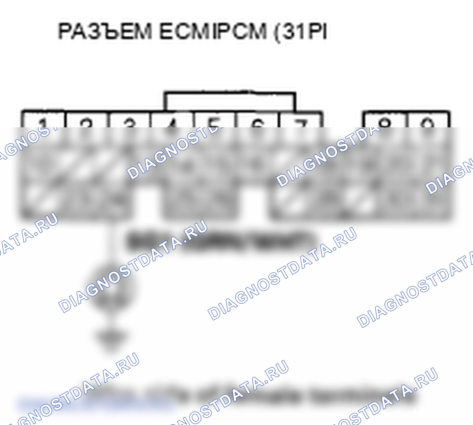 Рис. 372. Honda Element YH2 рестайлинг 2