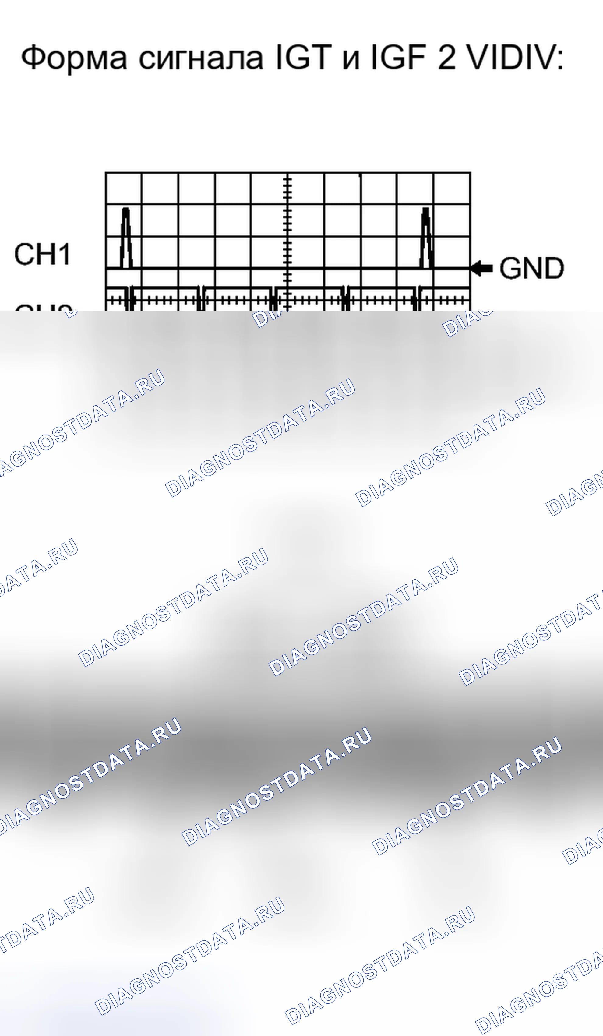 Рис. 314. Lexus IS F I