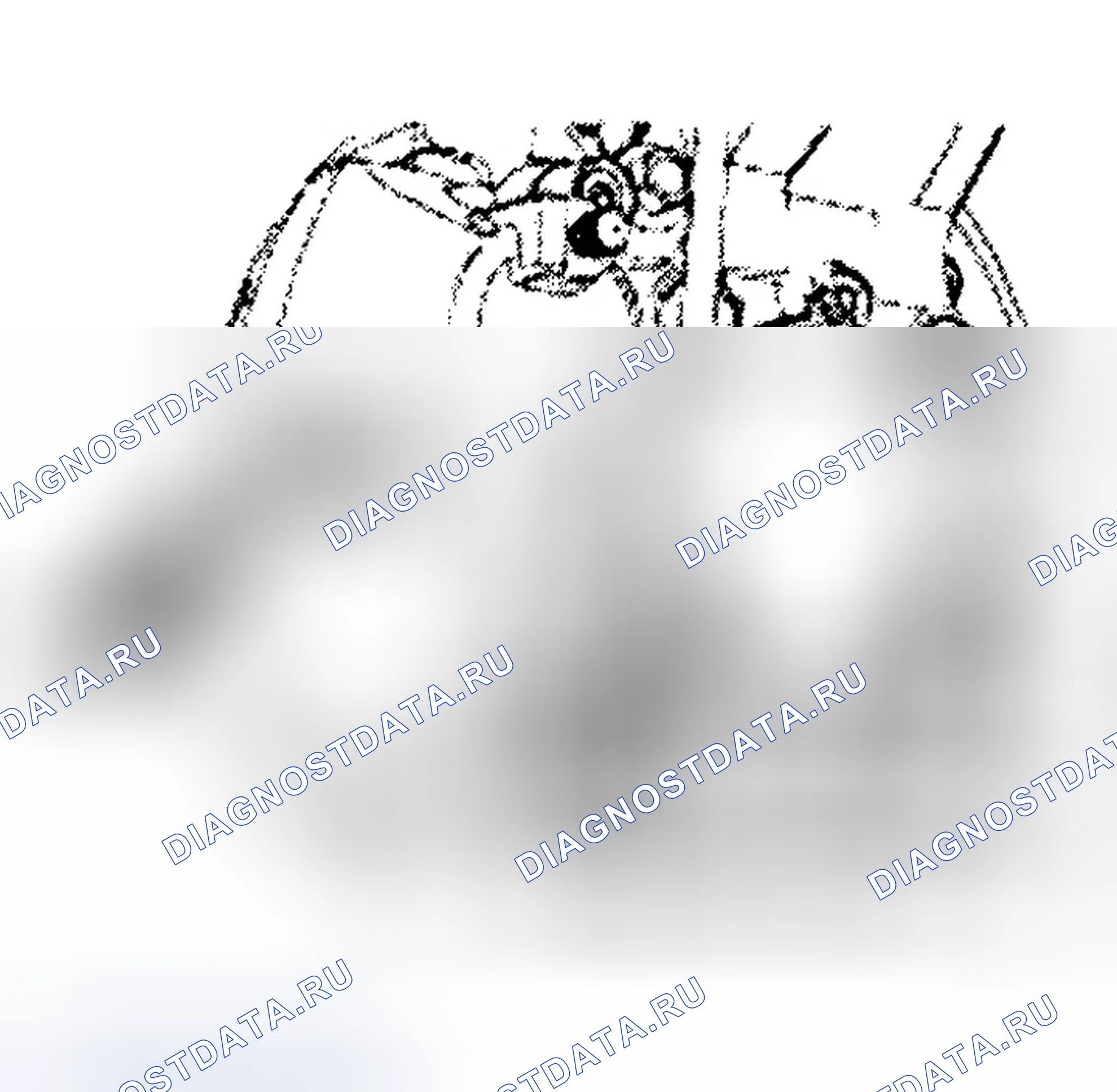 Рис. 4. Ford Expedition II