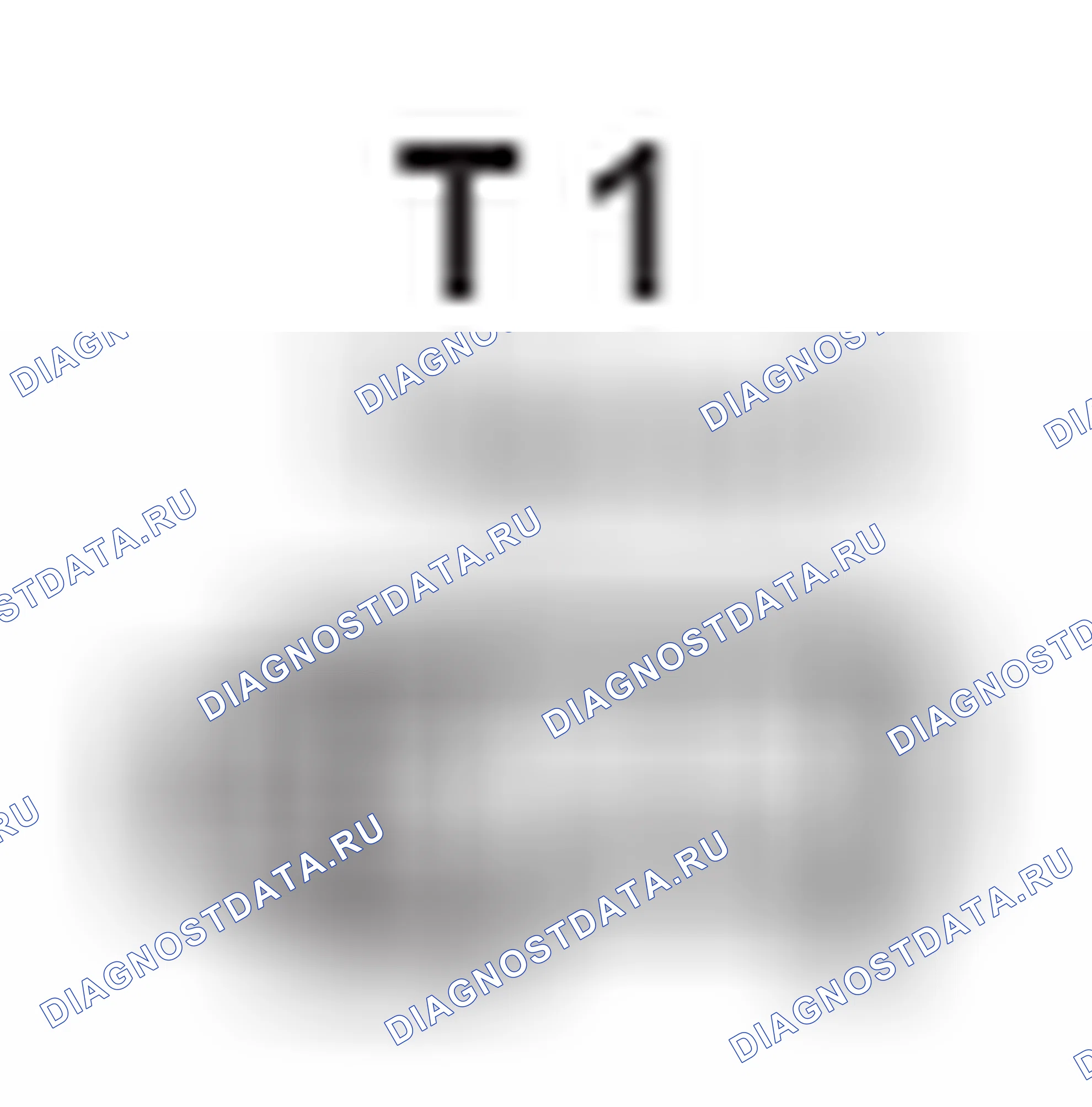 Рис. 570: Вид с торца разъема звукового сигнала для предотвращения краж (T 1). Lexus RX II рестайлинг