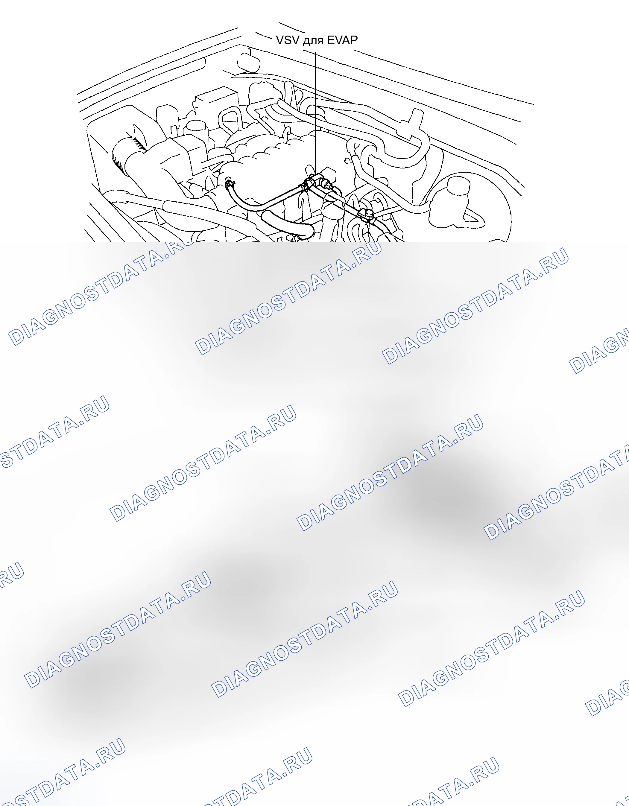 Рис. 35: РАСПОЛОЖЕНИЕ. Toyota Sequoia I рестайлинг