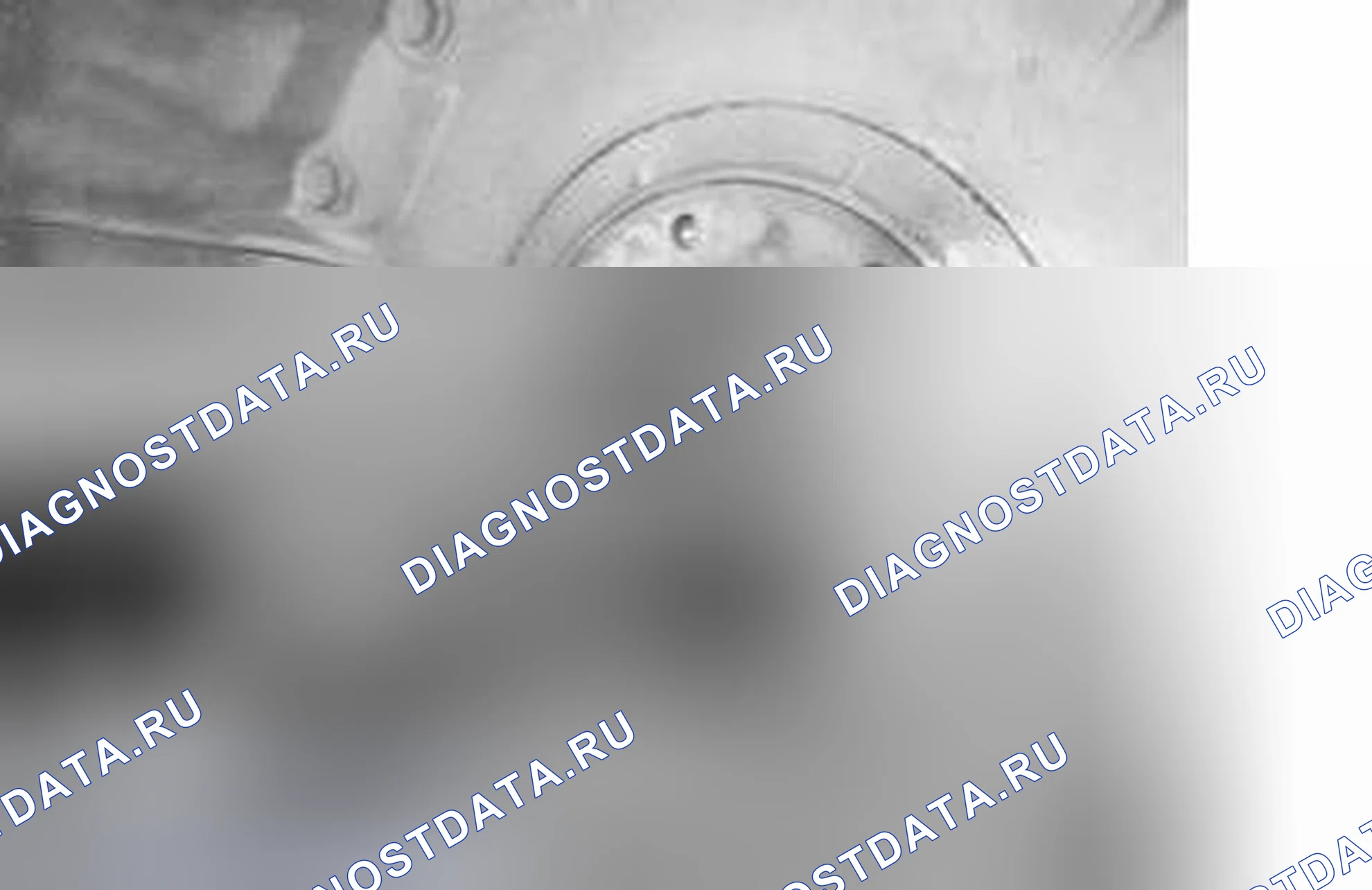 Рис. 45. Volvo XC90 I рестайлинг