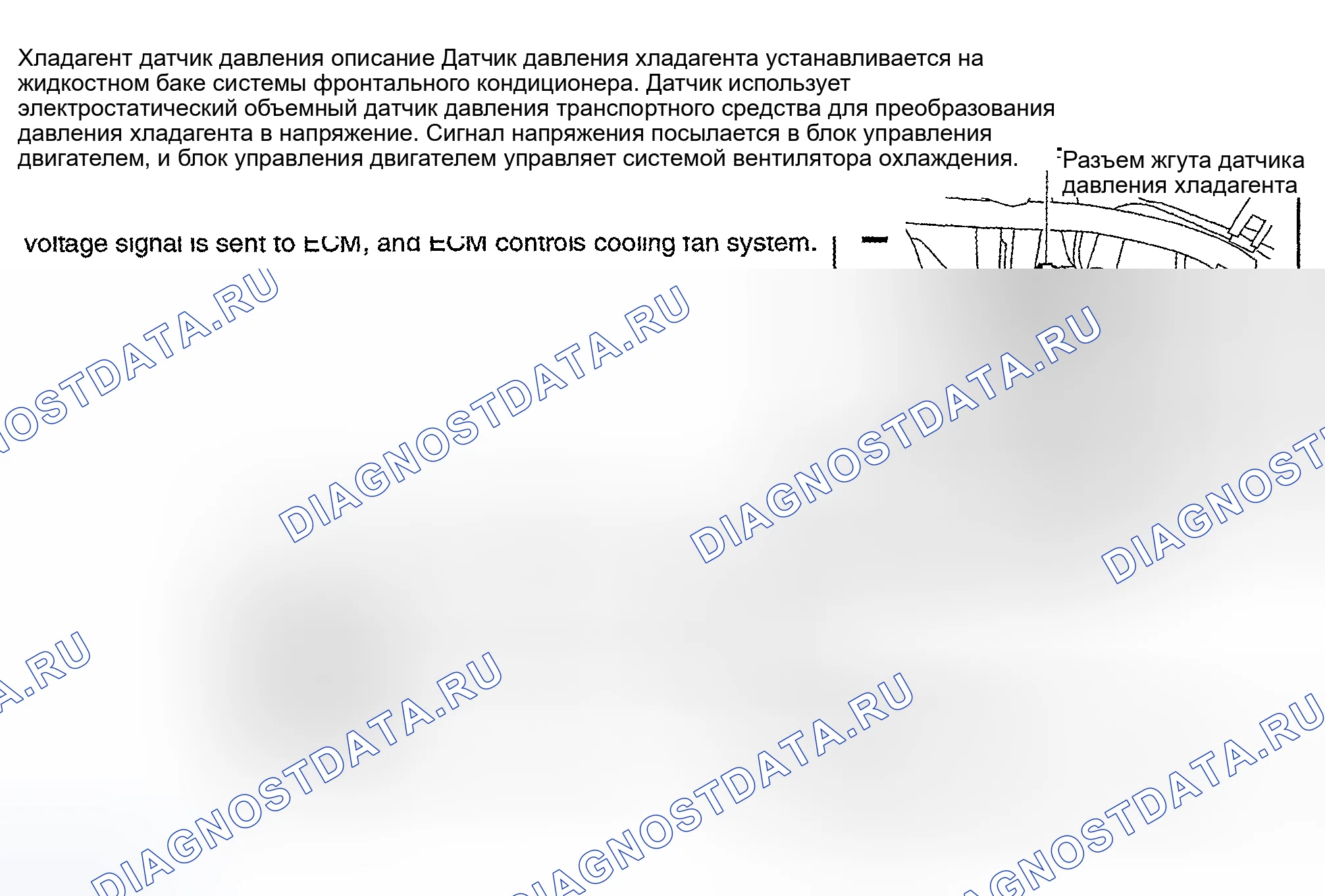Рис. 194: Sentra 1.8L. Nissan Sentra B15