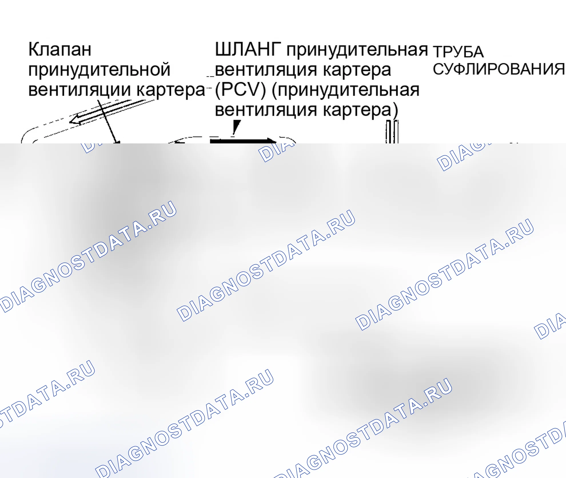 Рис. 35: Система принудительной вентиляции картера (принудительная вентиляция картера (PCV) (принудительная вентиляция картера)). Honda S2000 I