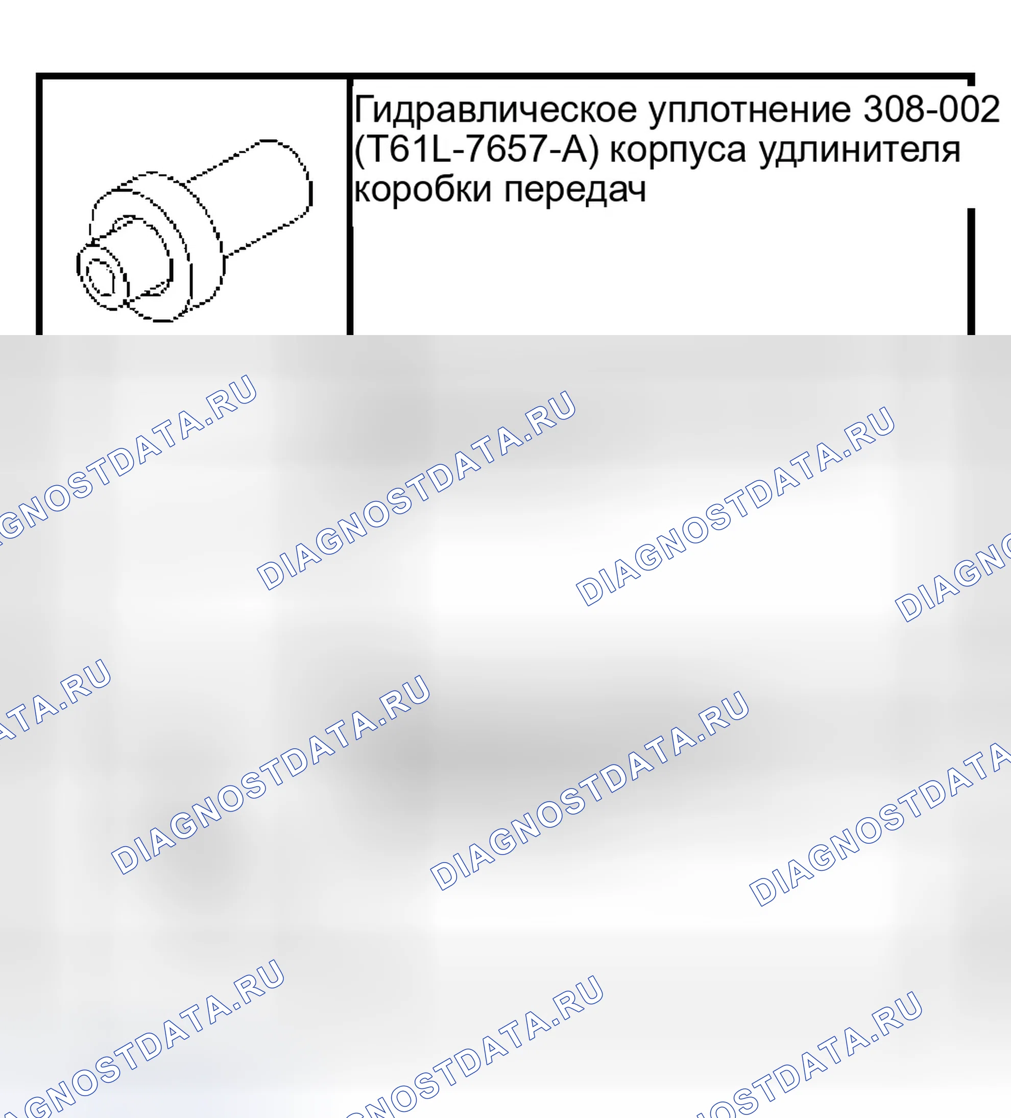 Рис. 636: Уплотнение корпуса удлинителя. Ford Econoline E250 