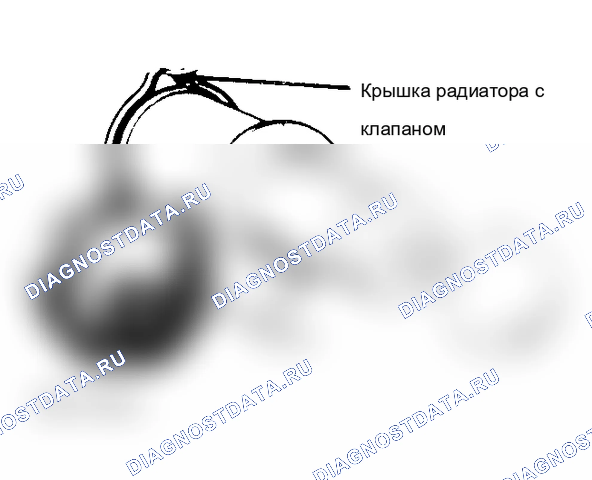 Рис. 2: крышка радиатора для испытания под давлением. Jeep Wrangler I
