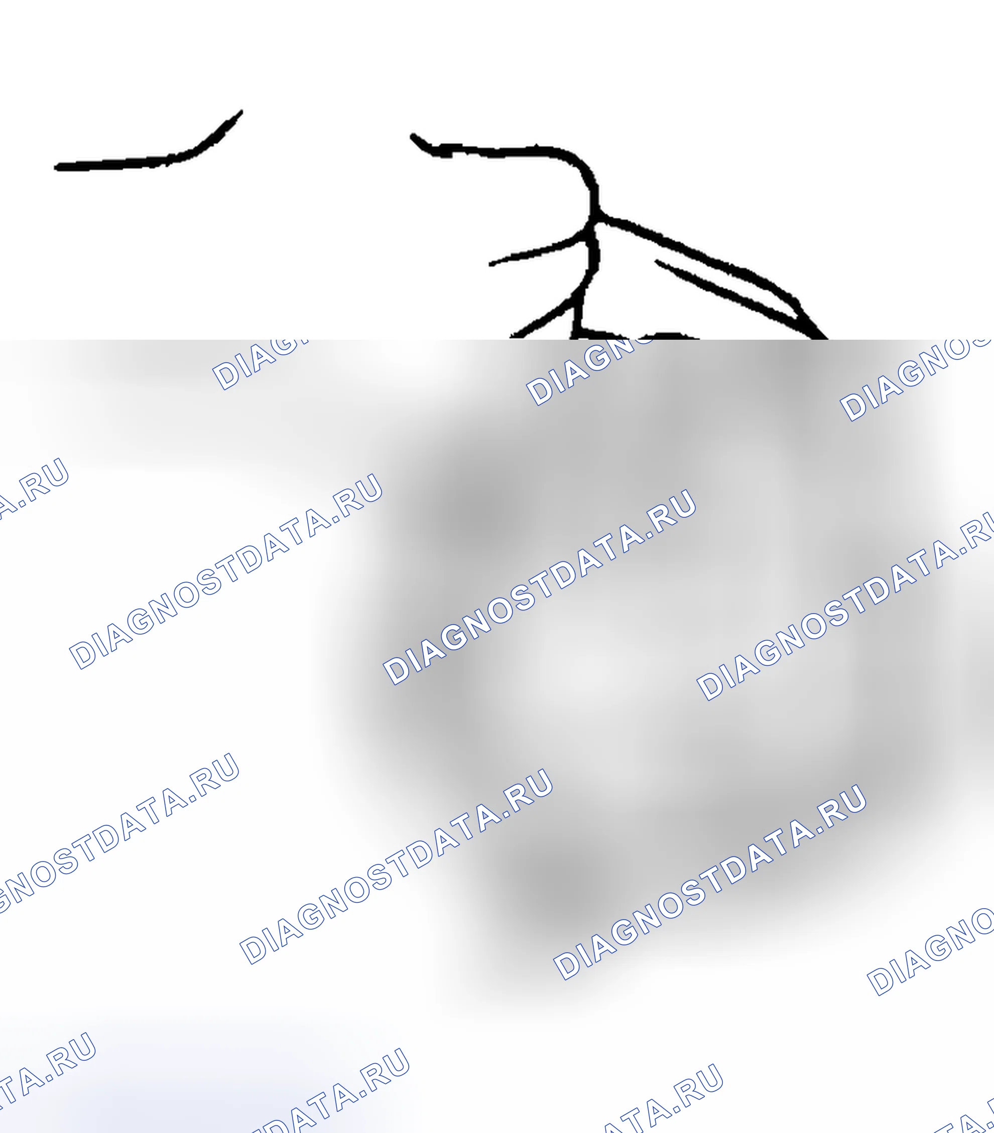 Рис. 99: > > B < < ЗАТЯЖКА ВИНТА. Honda Edix I