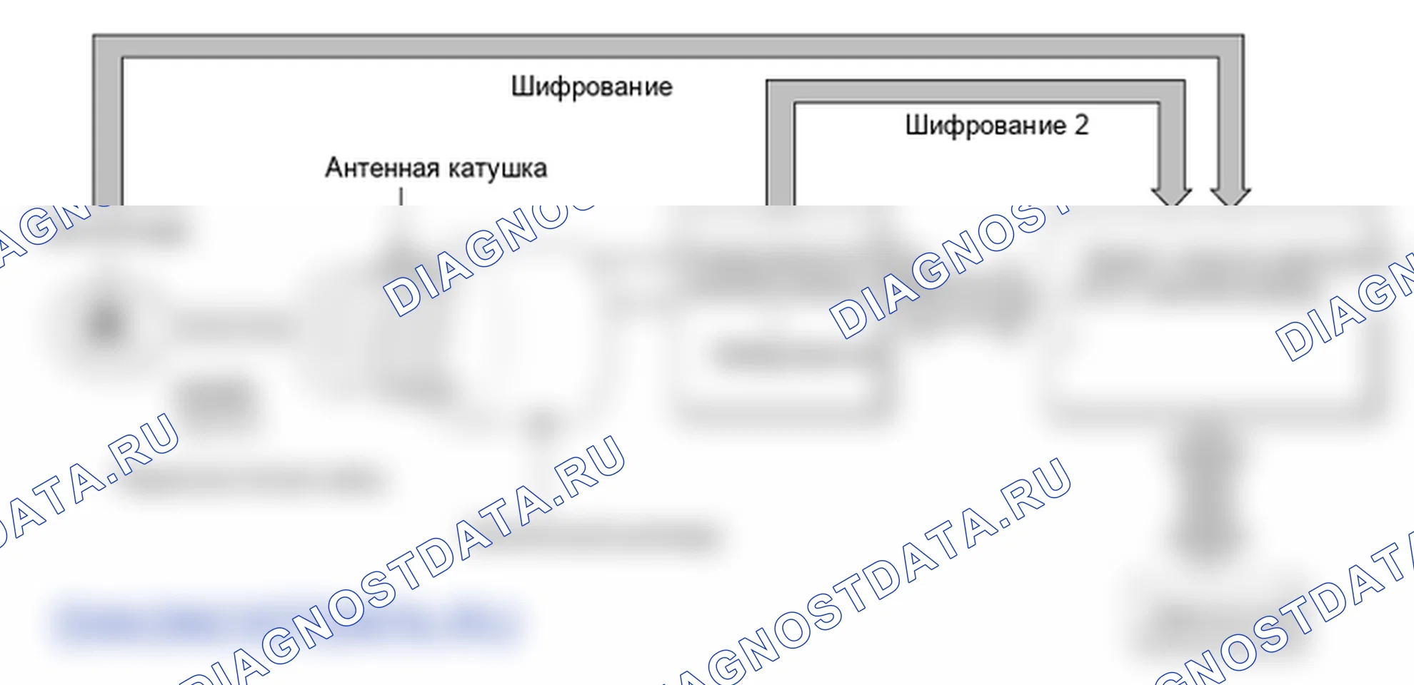 Компоненты и их расположение. Hyundai Elantra V рестайлинг