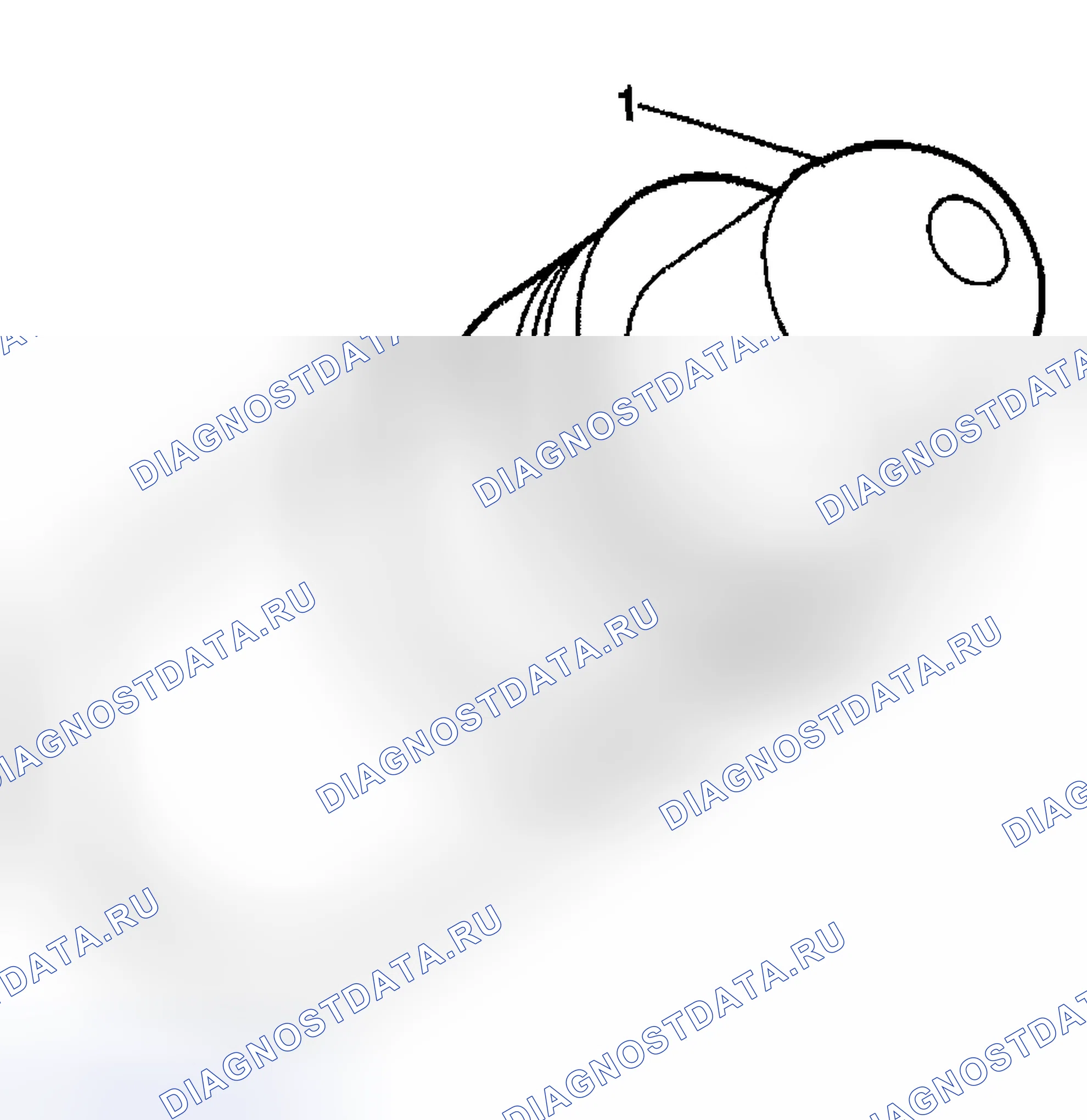 Рис. 1030. Hyundai Terracan I