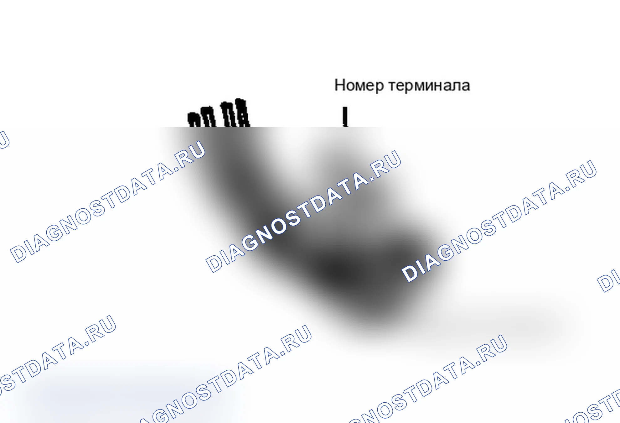 Рис. 13. Dodge Dakota Shelby 