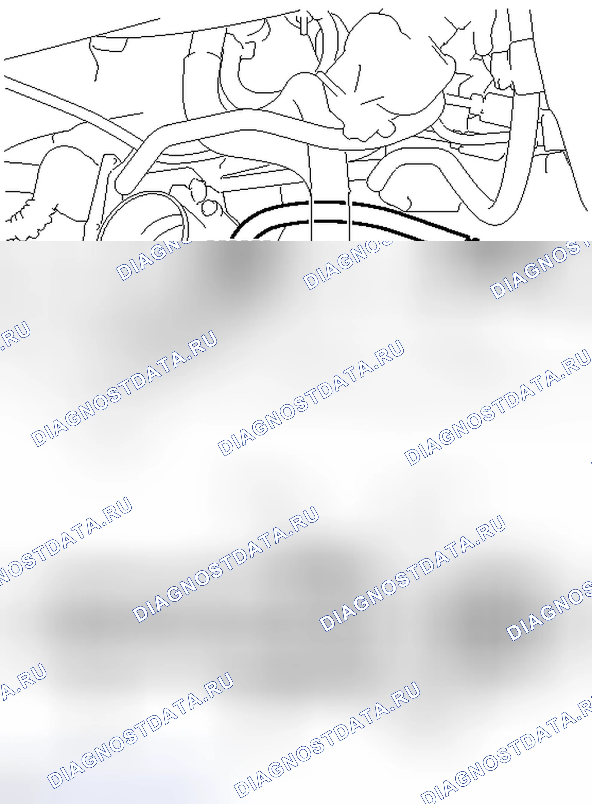 Рис. 57. Toyota Camry XV50